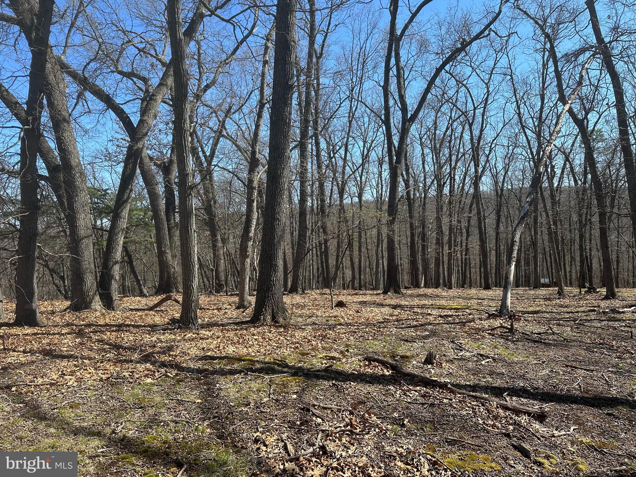 PATTERSON ESTATES - Land