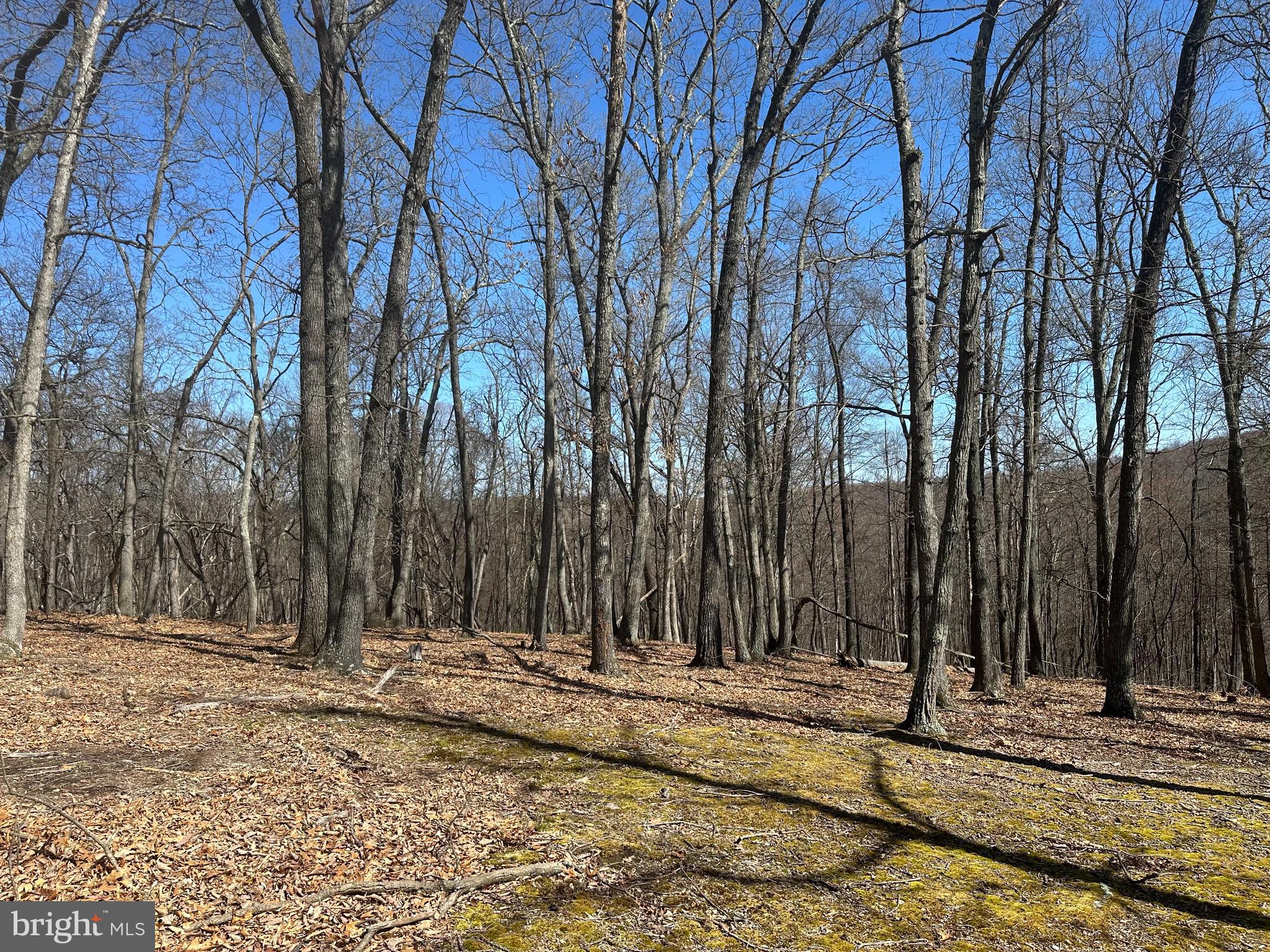 PATTERSON ESTATES - Land