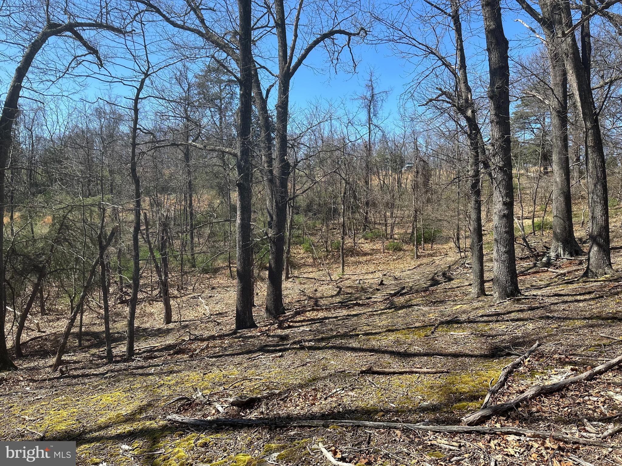 PATTERSON ESTATES - Land