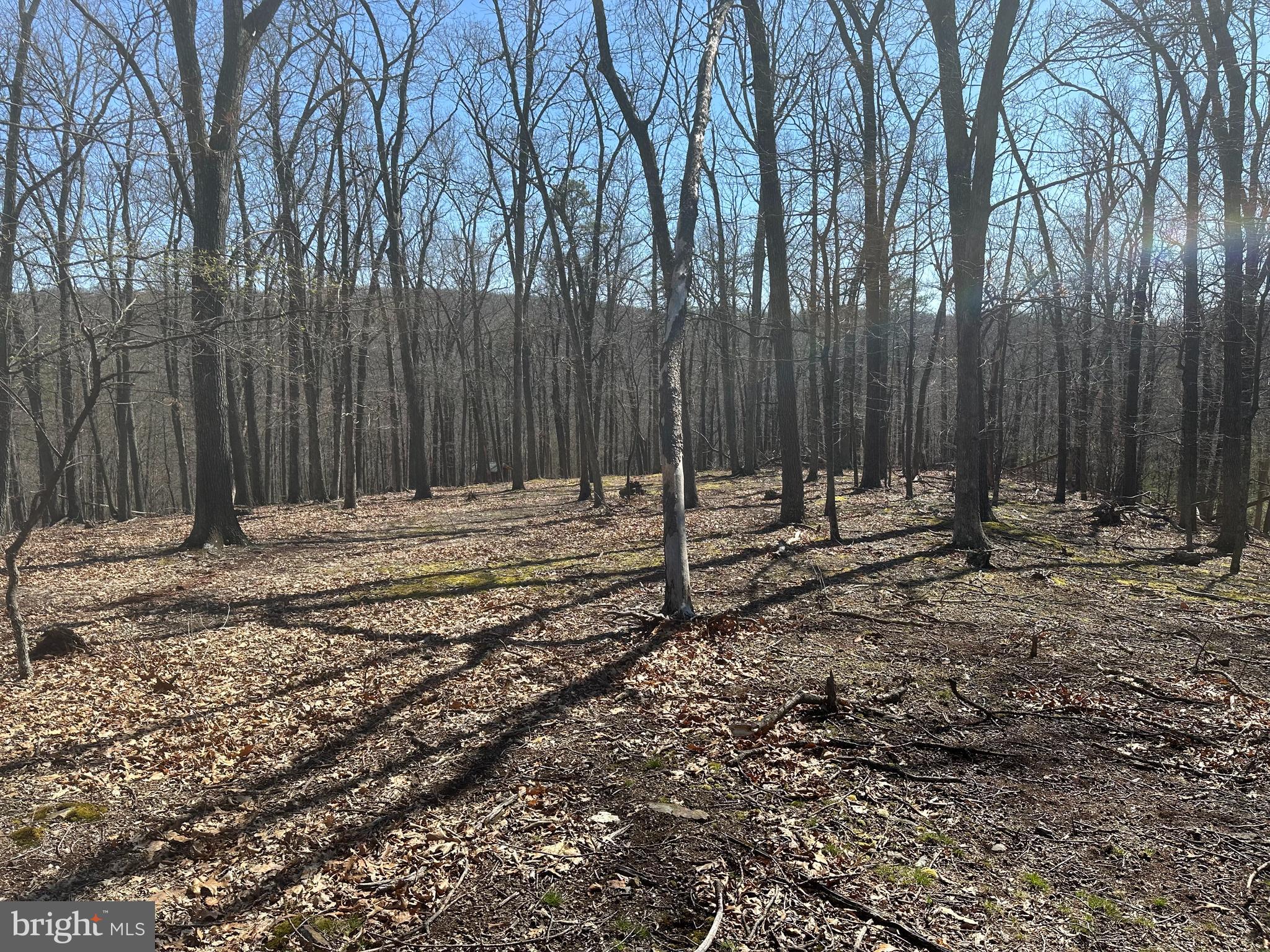 PATTERSON ESTATES - Land