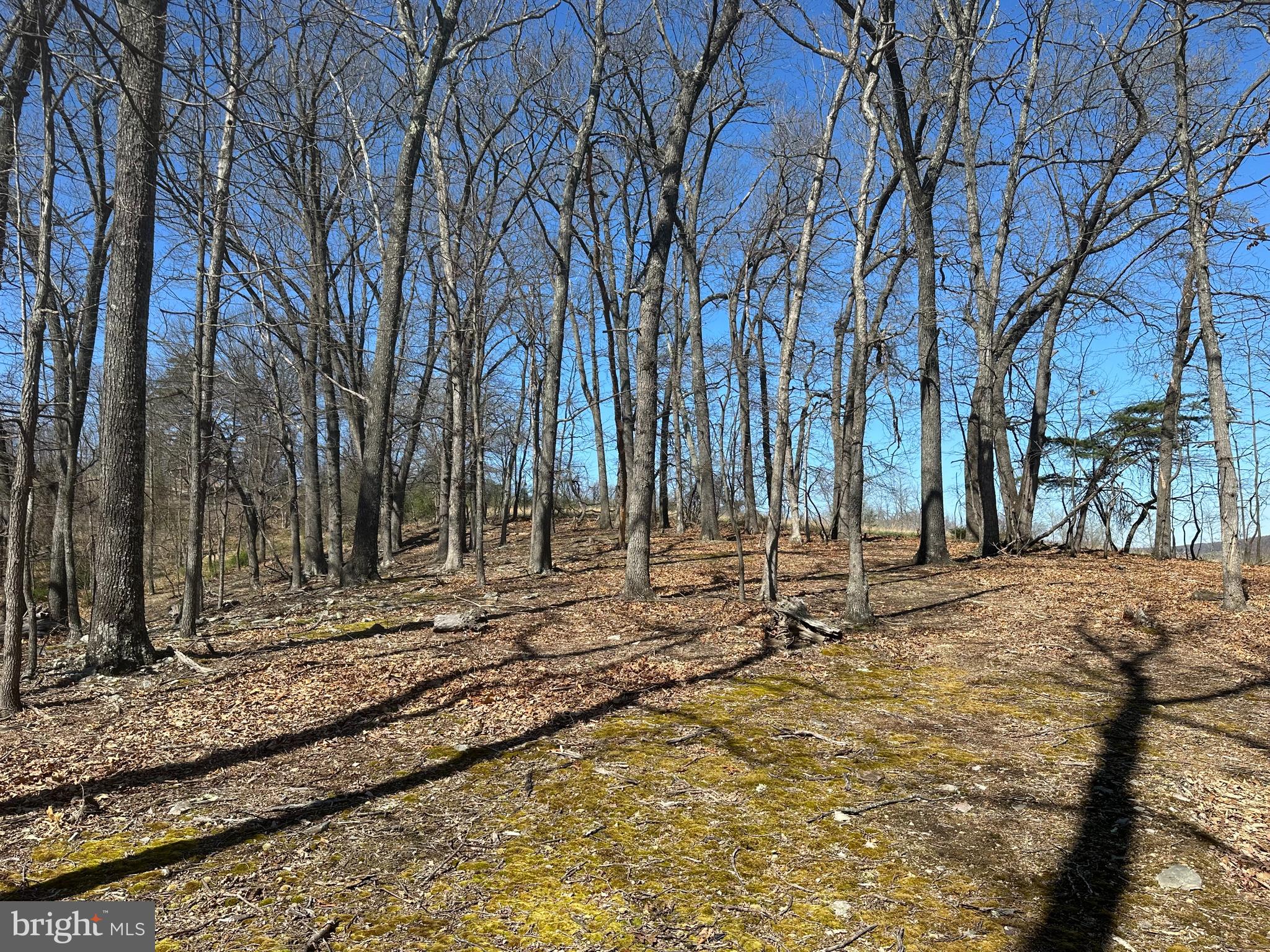 PATTERSON ESTATES - Land