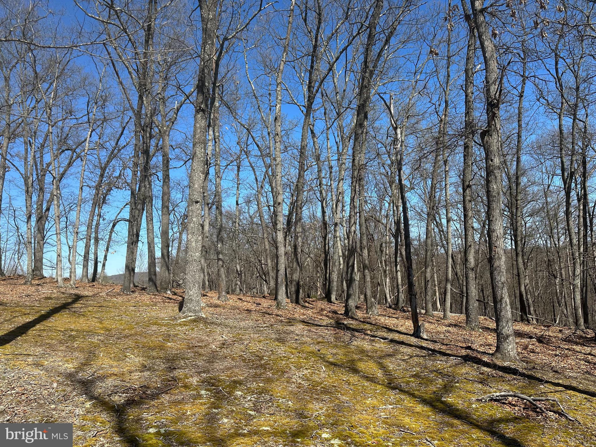 PATTERSON ESTATES - Land