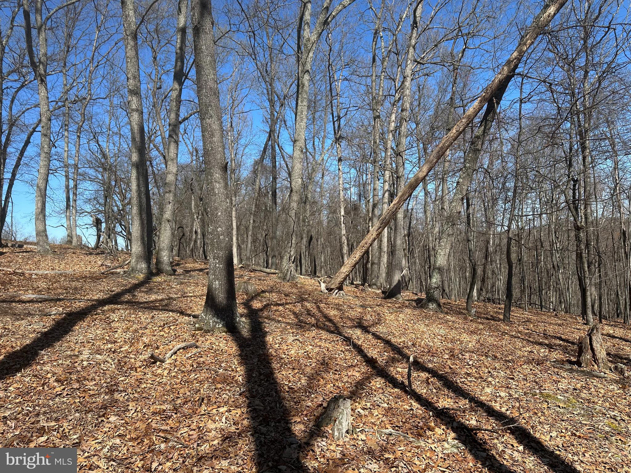 PATTERSON ESTATES - Land