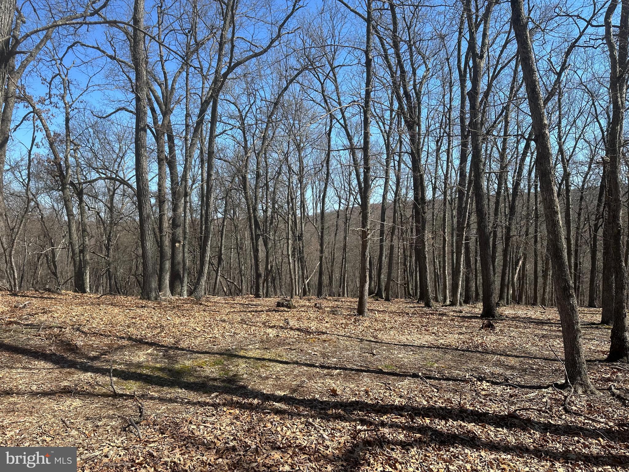 PATTERSON ESTATES - Land