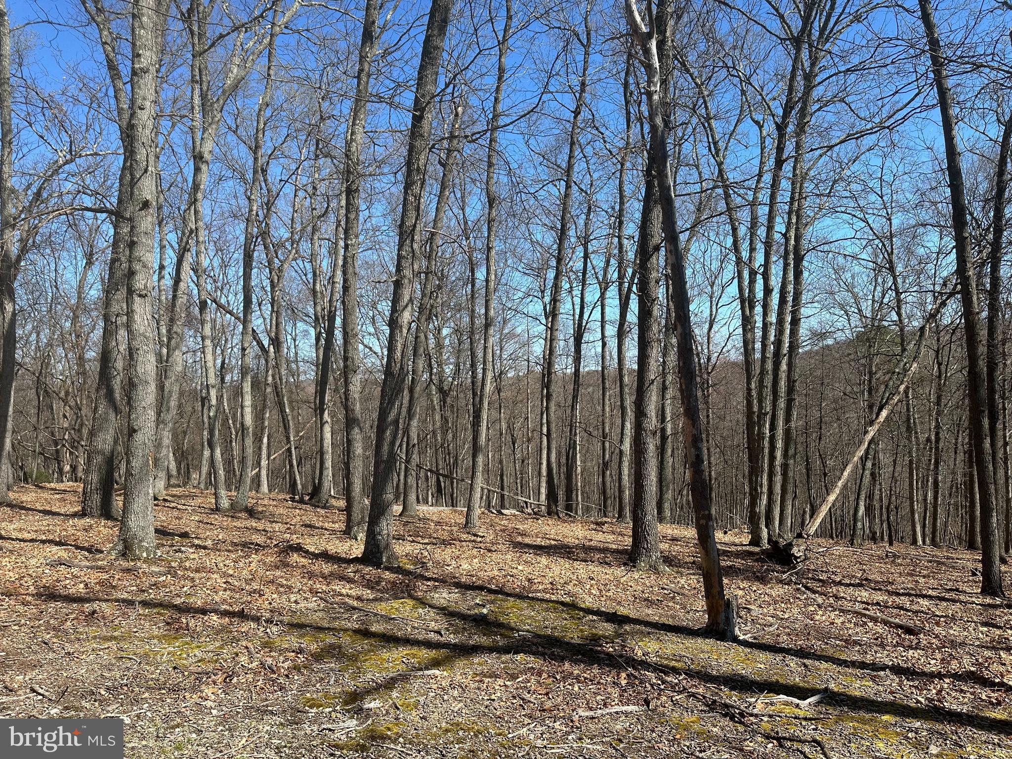 PATTERSON ESTATES - Land