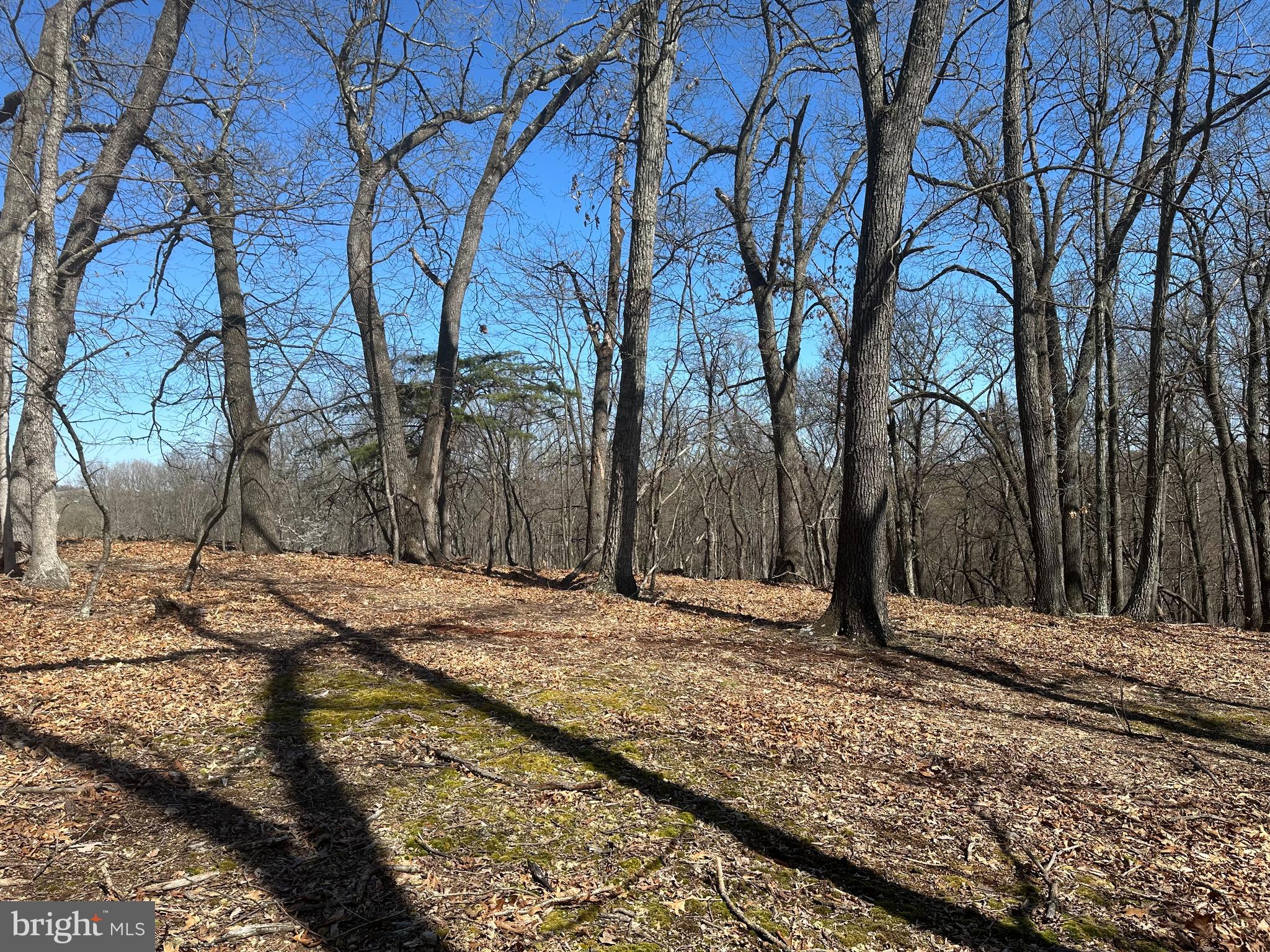 PATTERSON ESTATES - Land