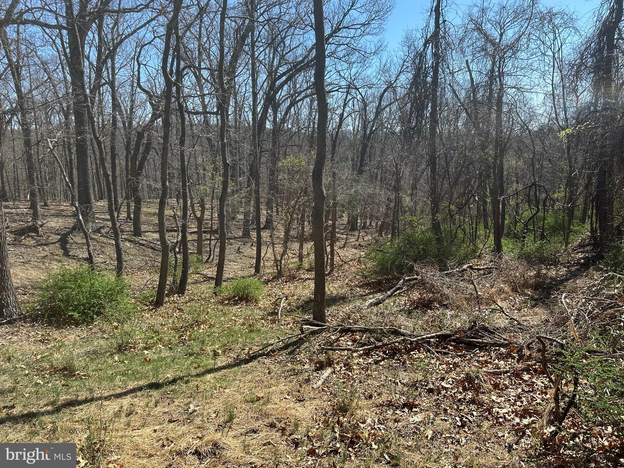 PATTERSON ESTATES - Land