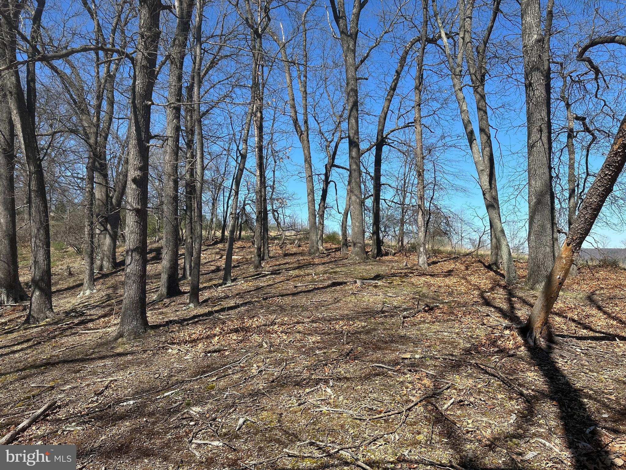 PATTERSON ESTATES - Land