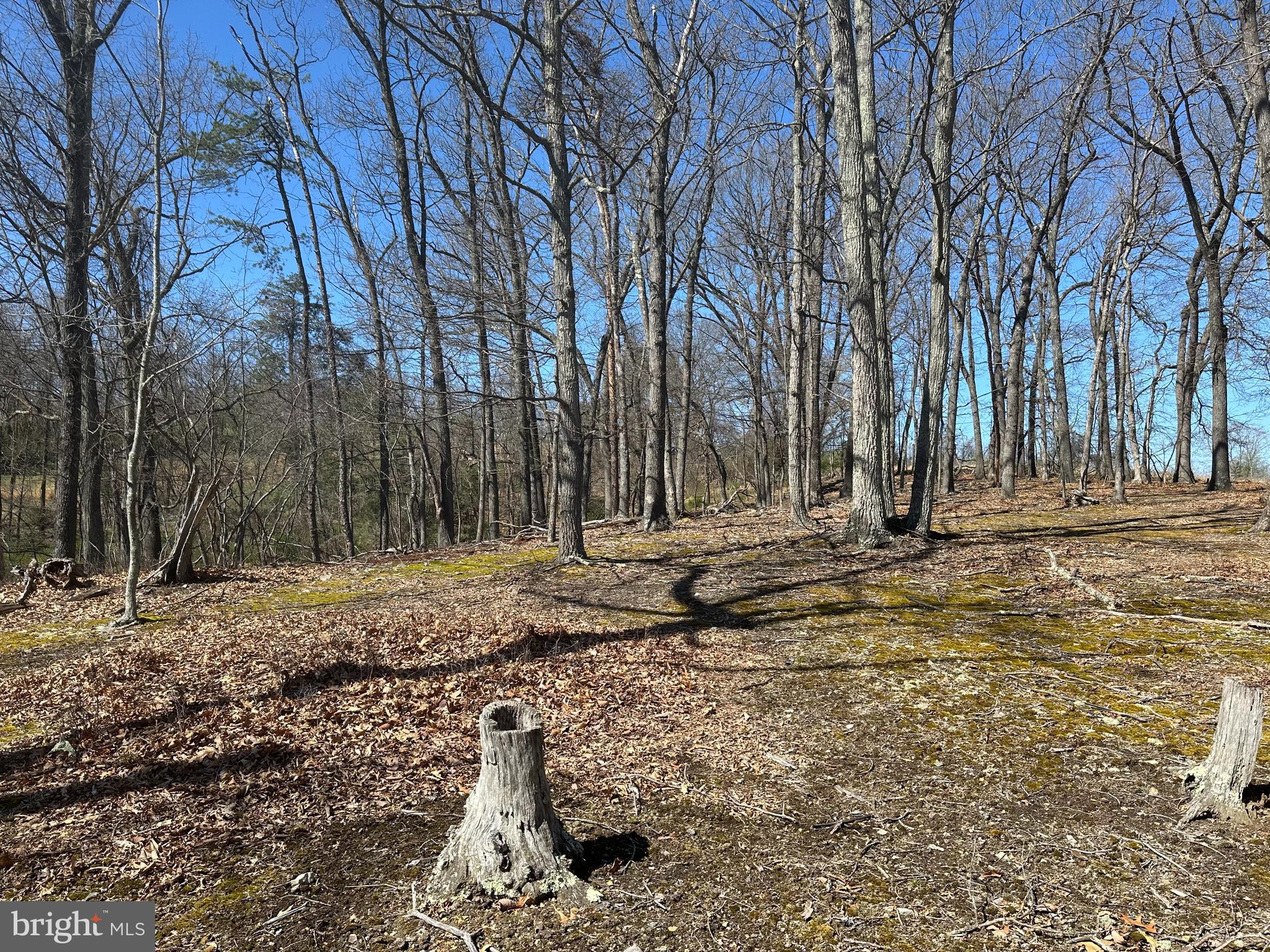 PATTERSON ESTATES - Land