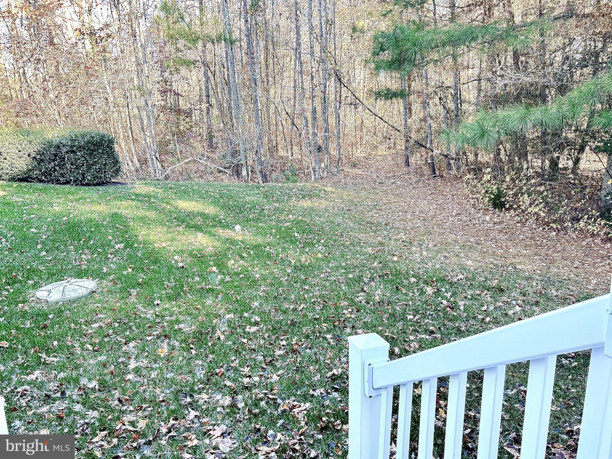 OCEAN PINES - THE PARKE - Residential