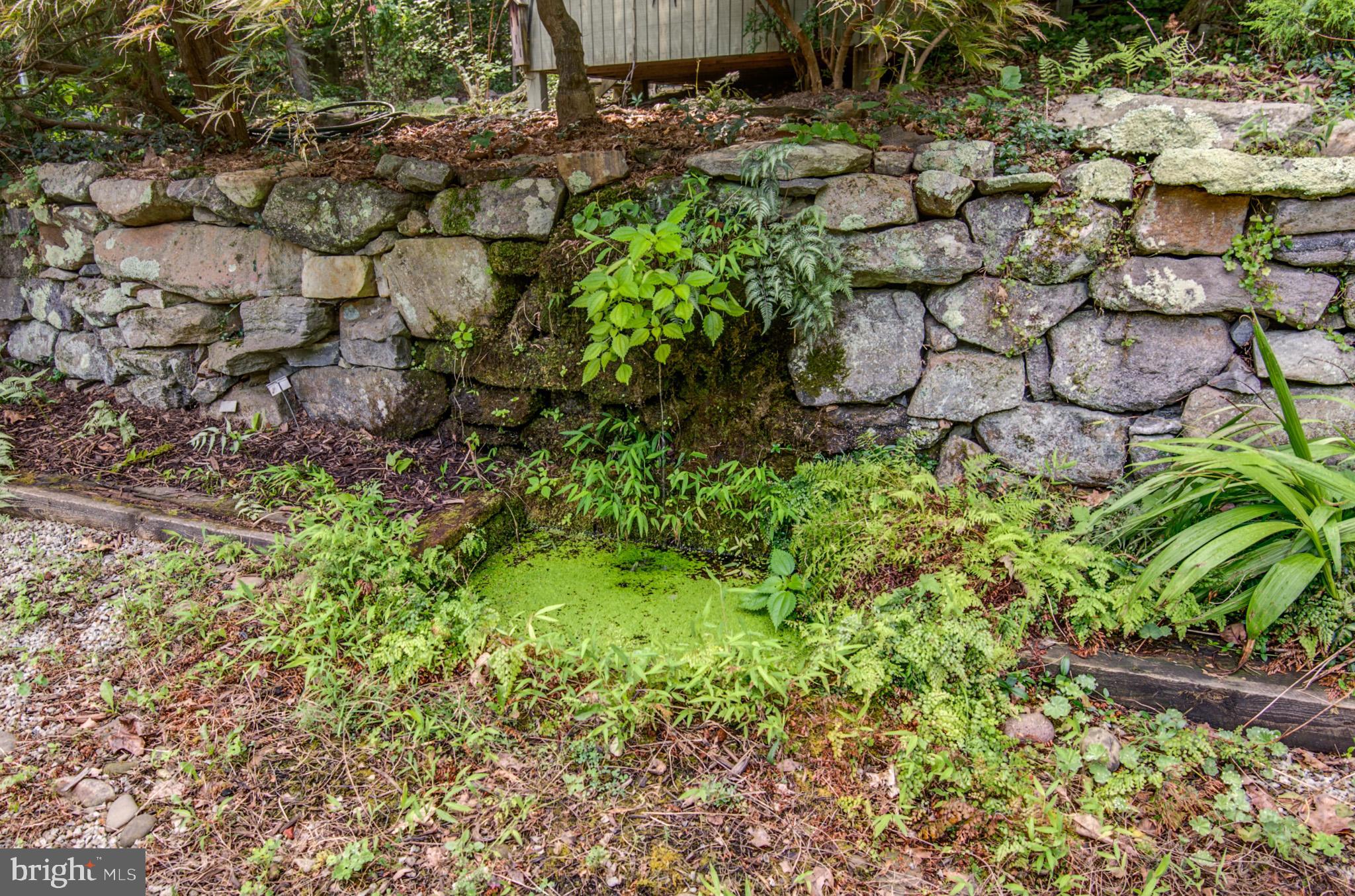 BLUEMONT - Residential