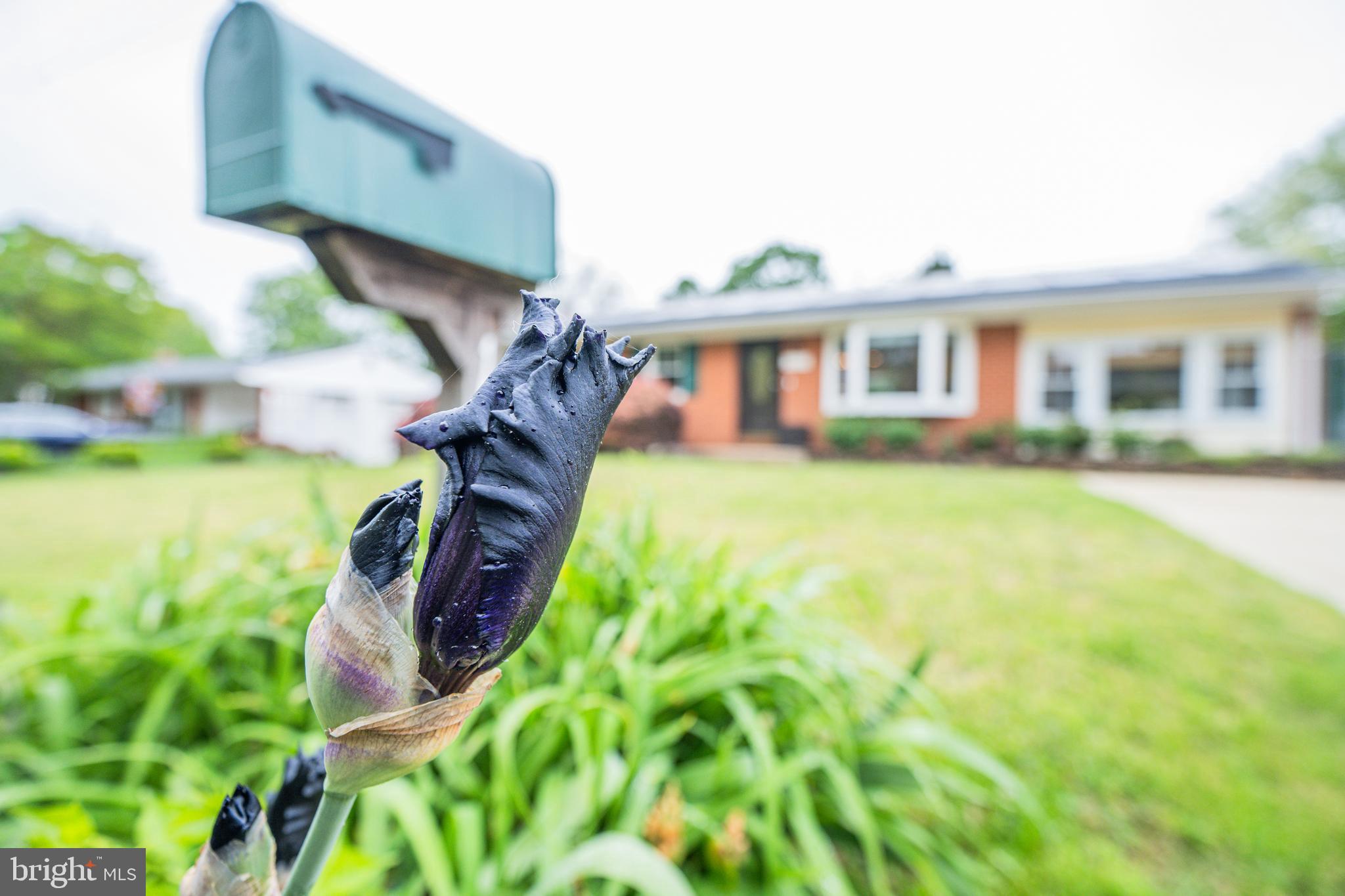 SEVERNSIDE - Residential