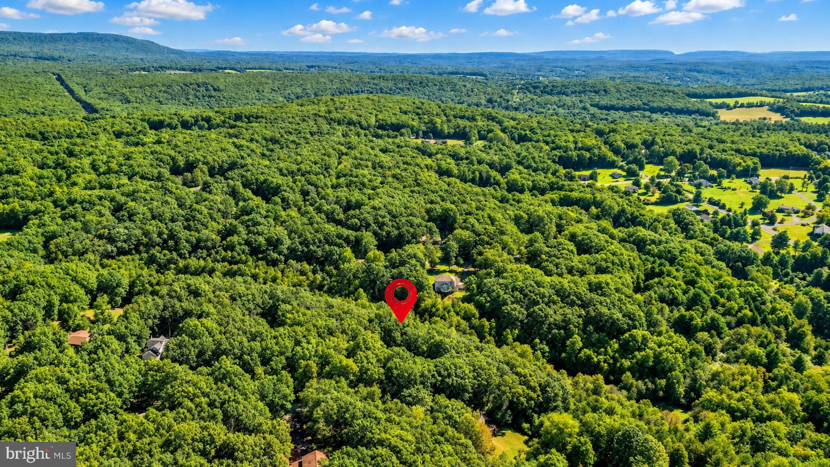 175 DEER TRAIL DRIVE