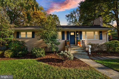 1045 RYNEX DRIVE ALEXANDRIA VA 22312
