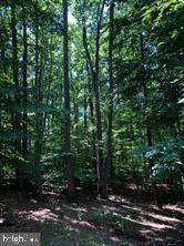 SILVER SPRING - Residential Lease