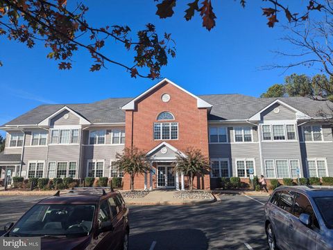 503 CYNWOOD DRIVE 1 EASTON MD 21601