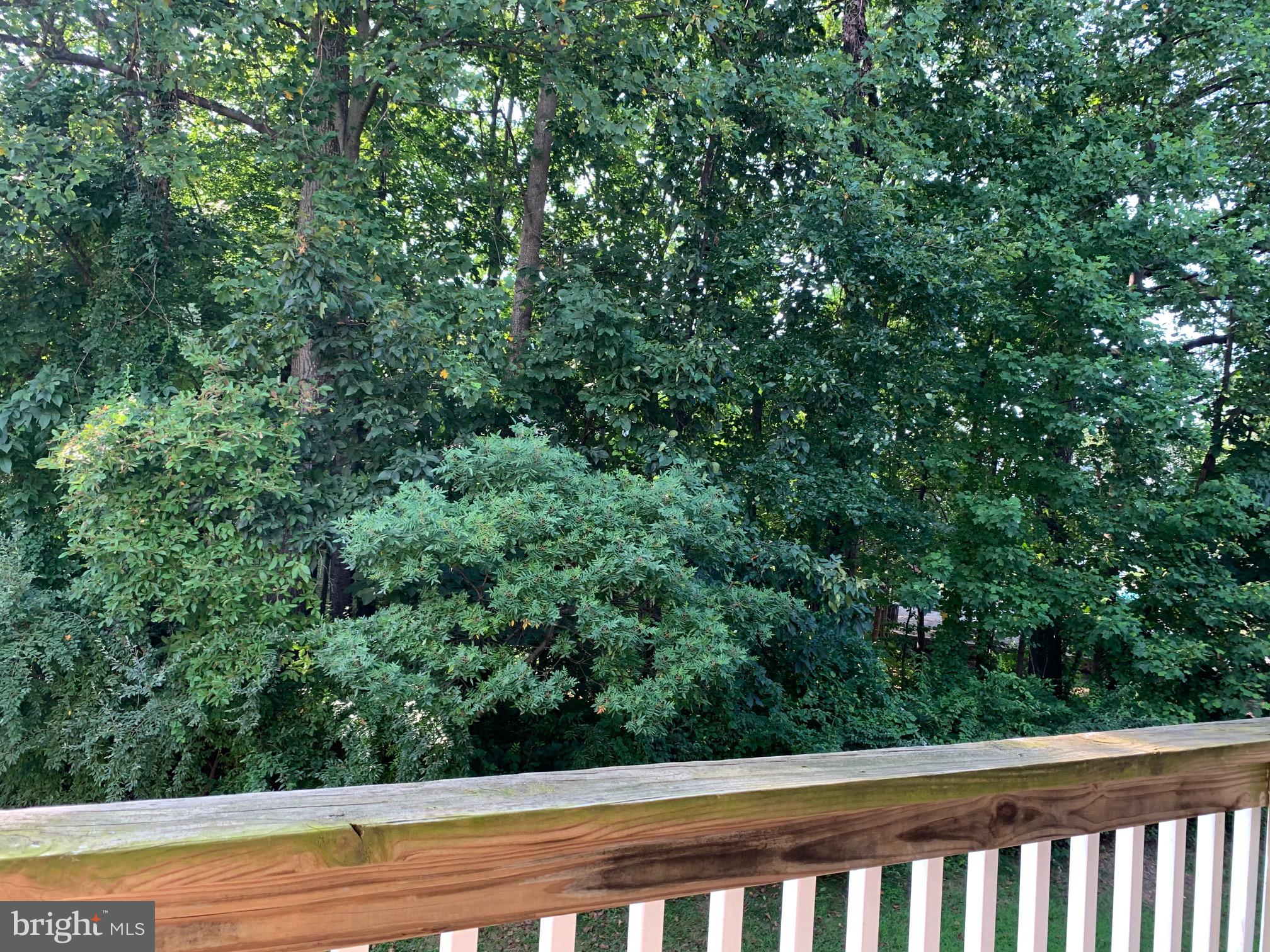 PENDERBROOK SQUARE CONDOMINIUMS - Residential Lease