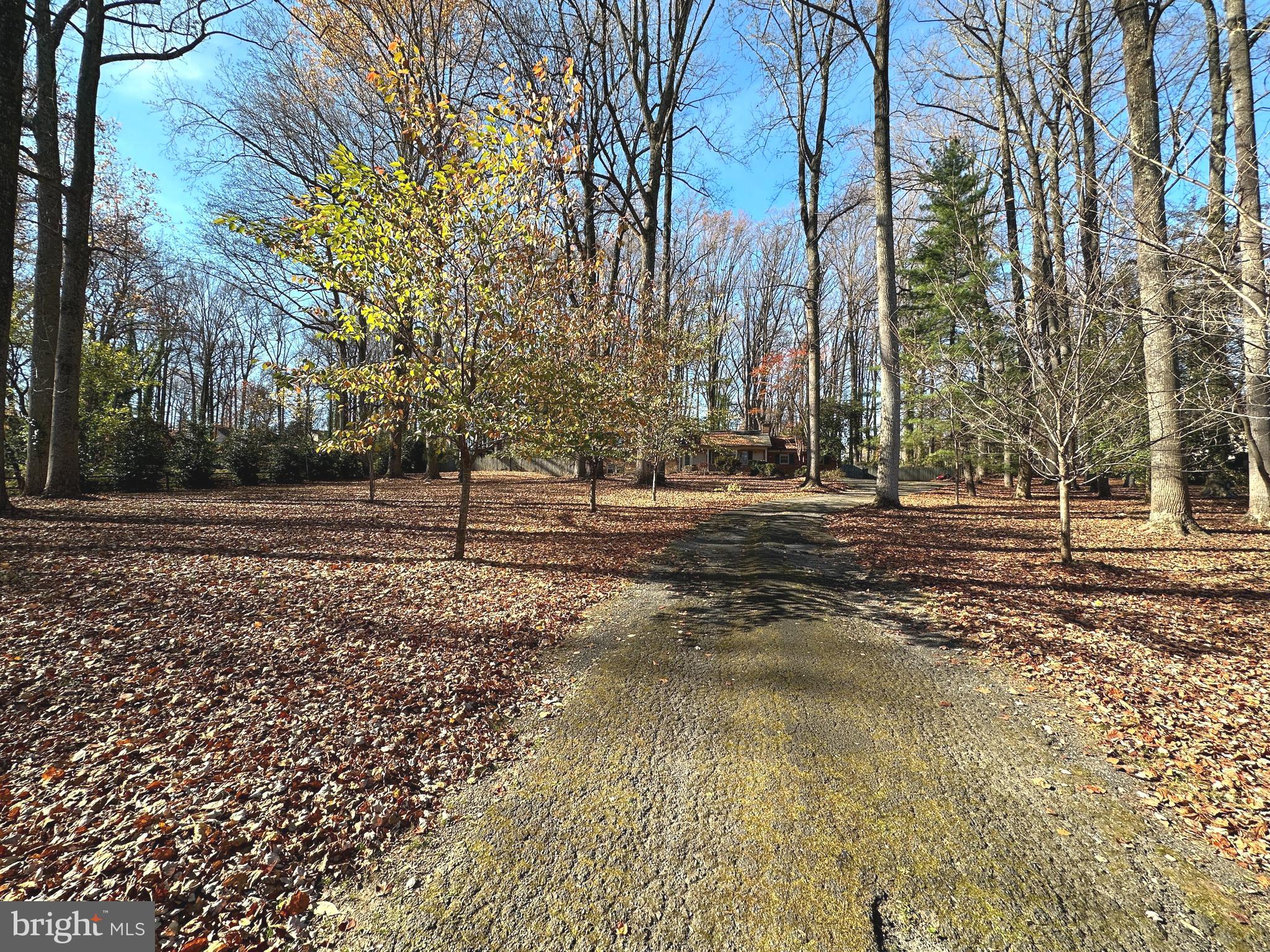 ELMWOOD ESTATES - Residential