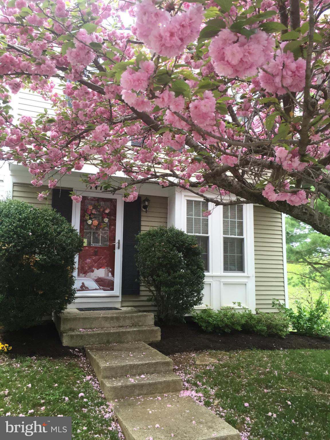 POINT O WOODS - Residential