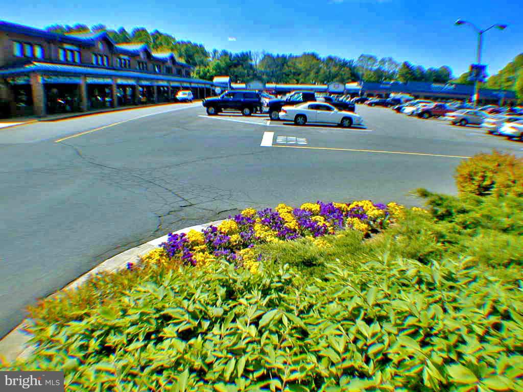 POINT O WOODS - Residential