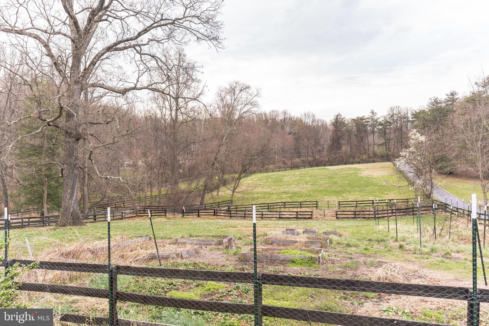 TALLY HO - Residential