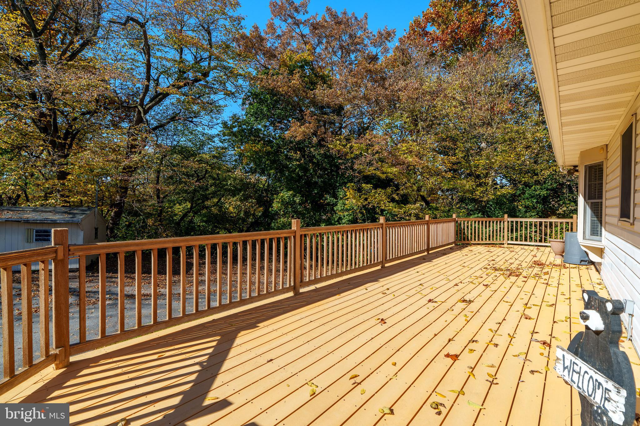 MOUNT JOY - Residential