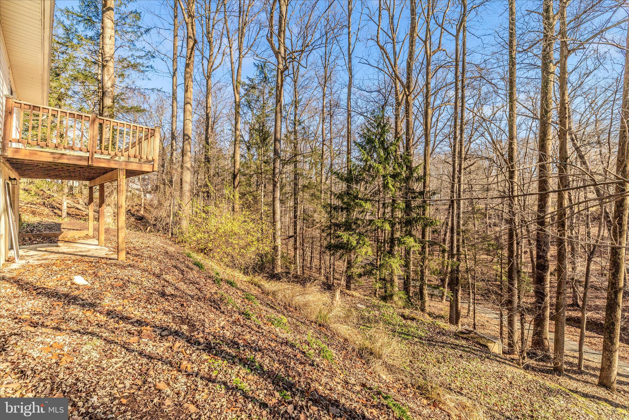 NEW MARKET VIEW - Residential