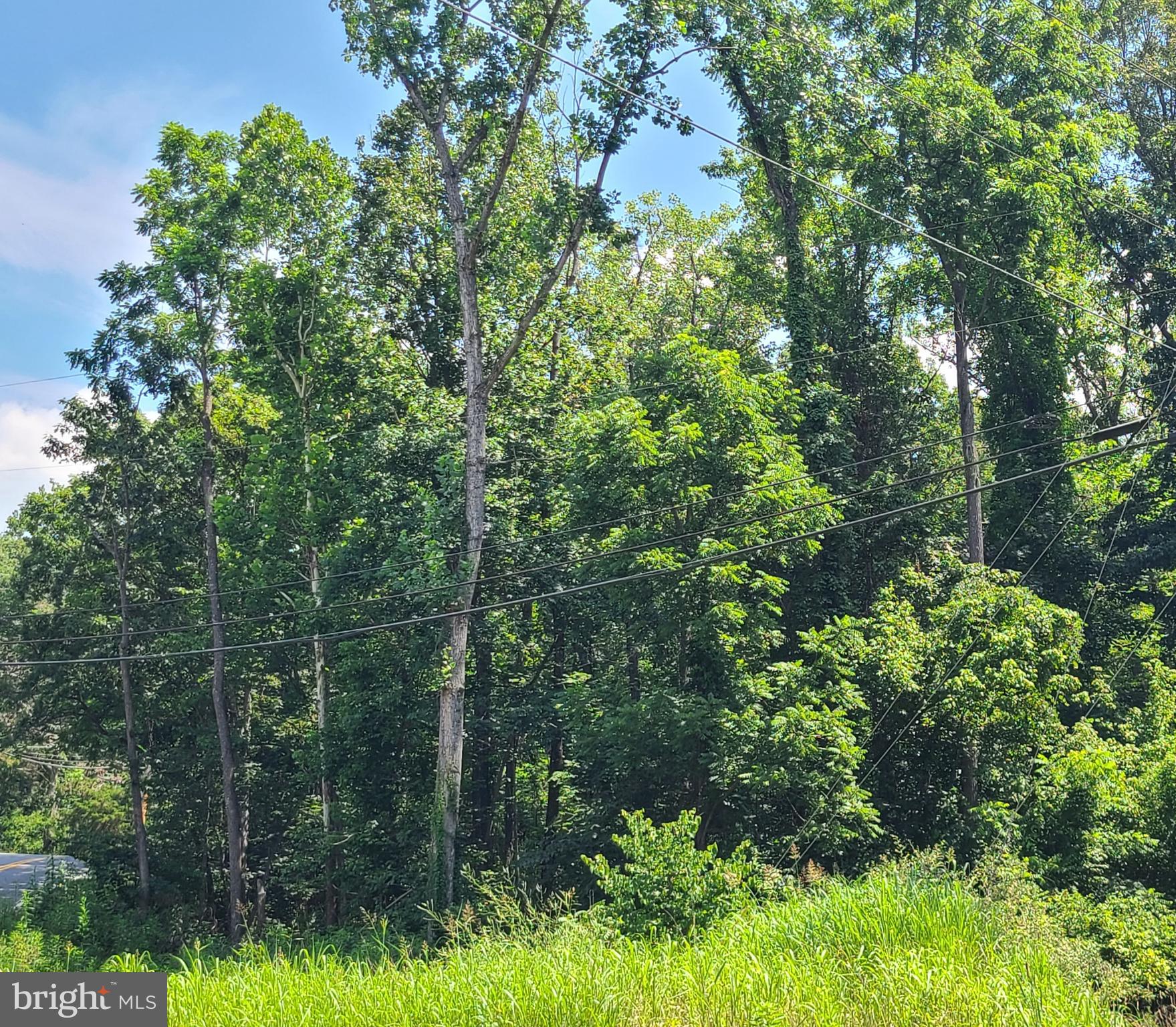 NONE AVAILABLE - Land