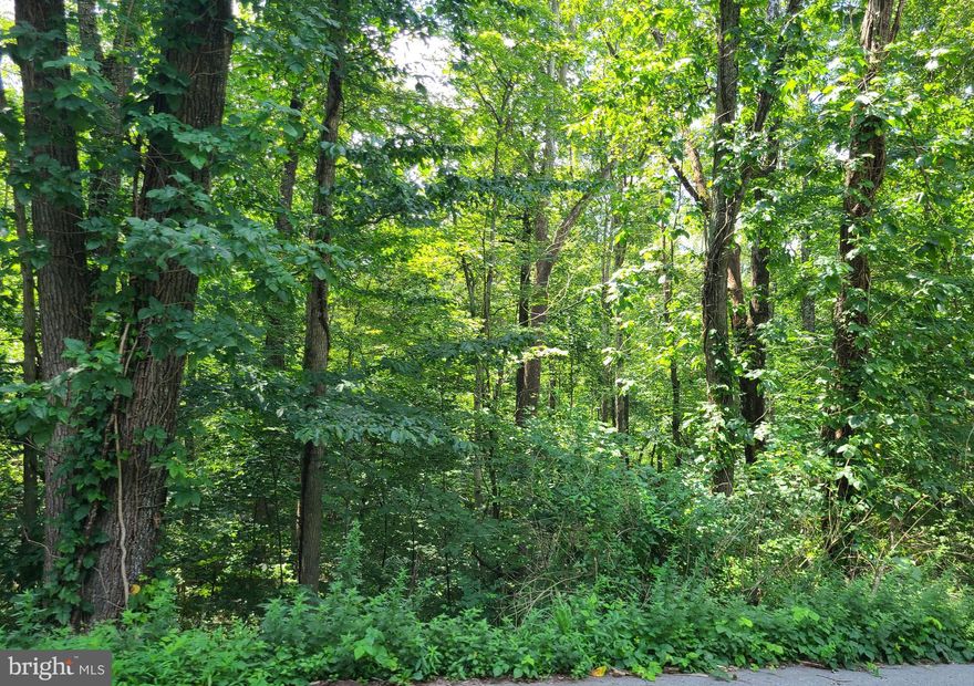 Rolling, wooded 7.6 acre lot with two springs on the property - off Chestnut Hill Rd tucked in the beautiful mountains of Harpers Ferry.