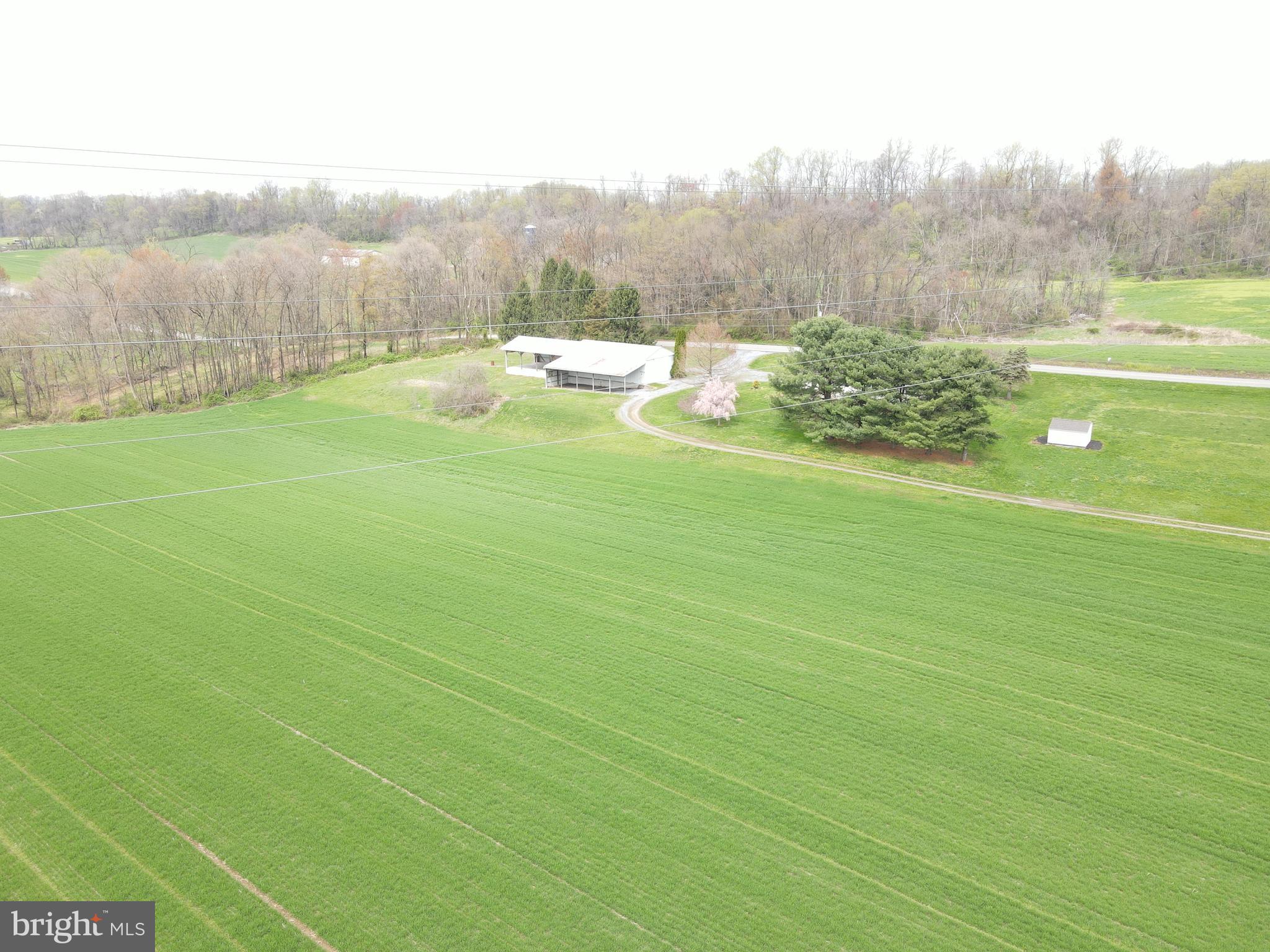 NONE AVAILABLE - Farm