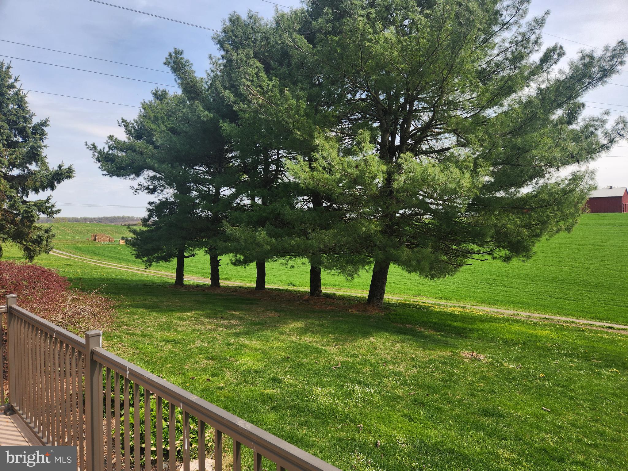 NONE AVAILABLE - Farm