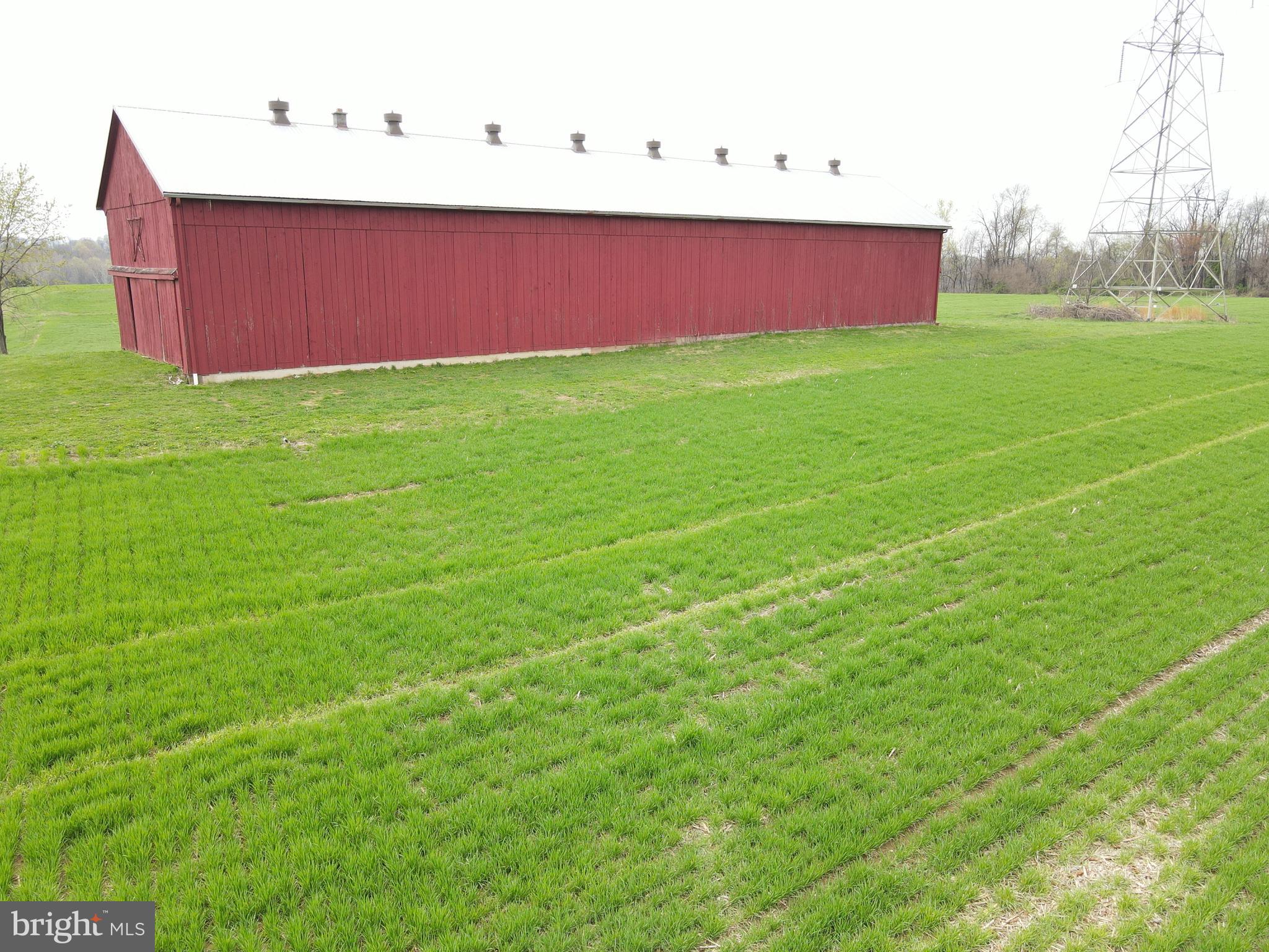 NONE AVAILABLE - Farm