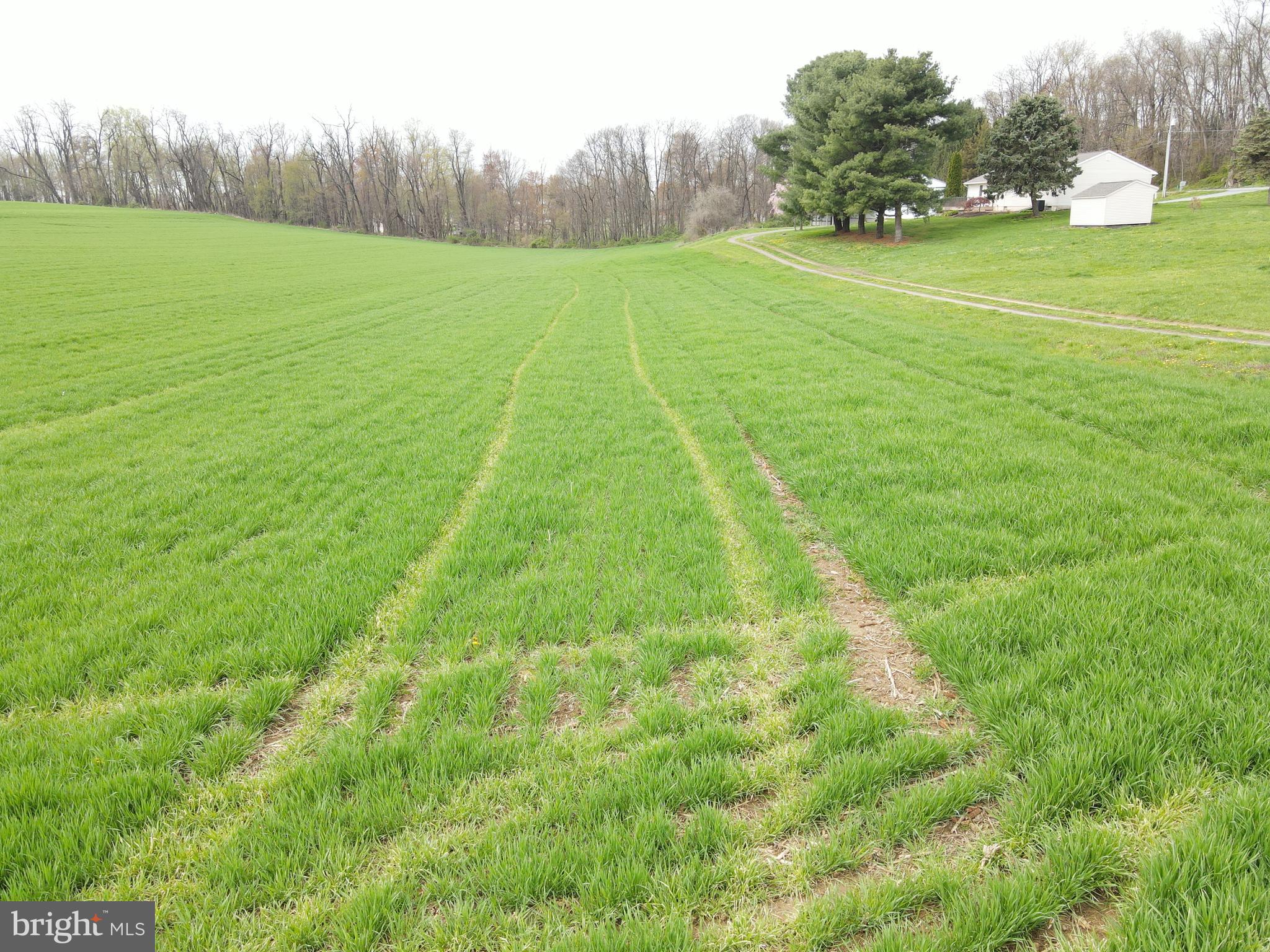 NONE AVAILABLE - Farm