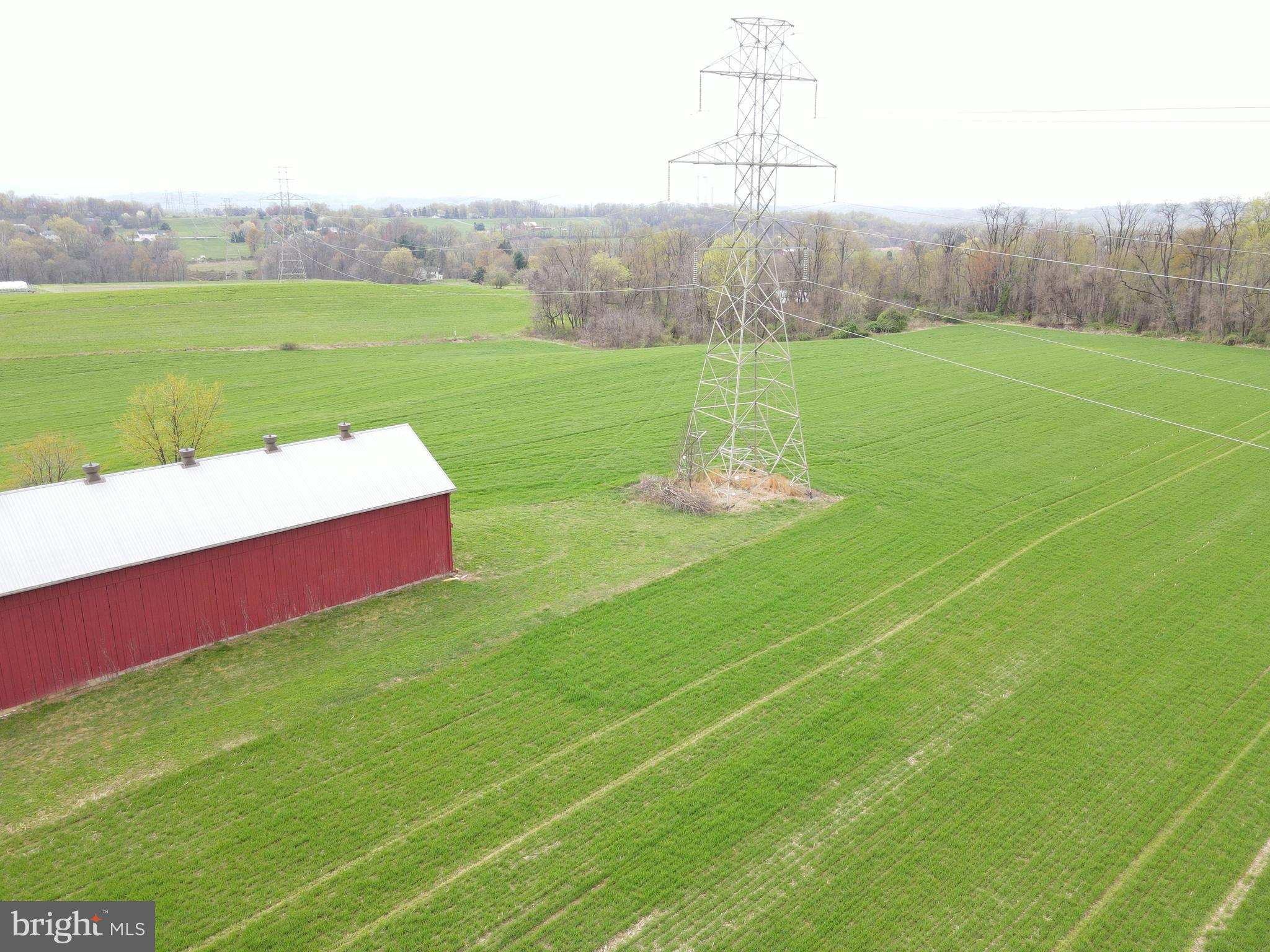 NONE AVAILABLE - Farm