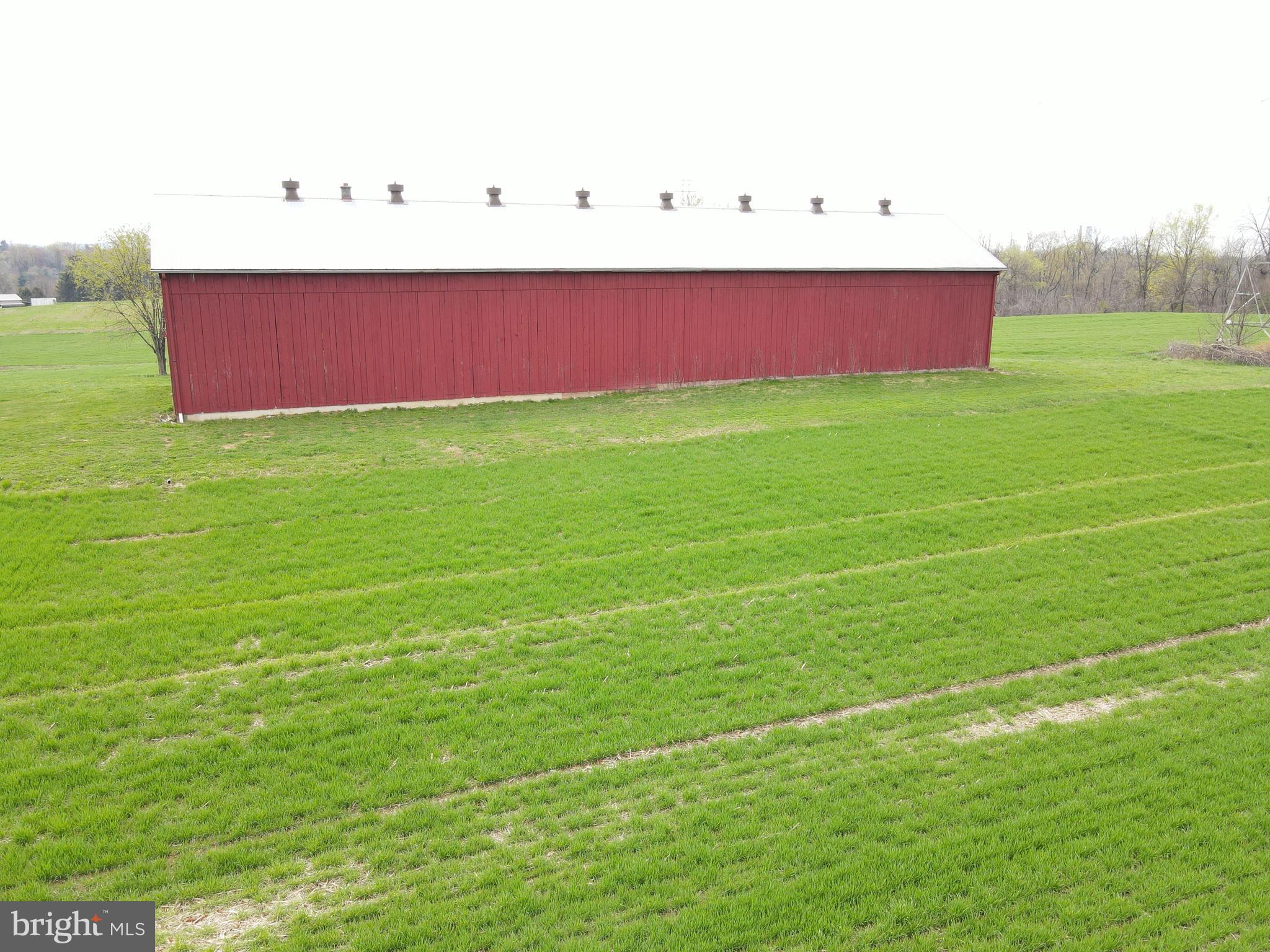 NONE AVAILABLE - Farm