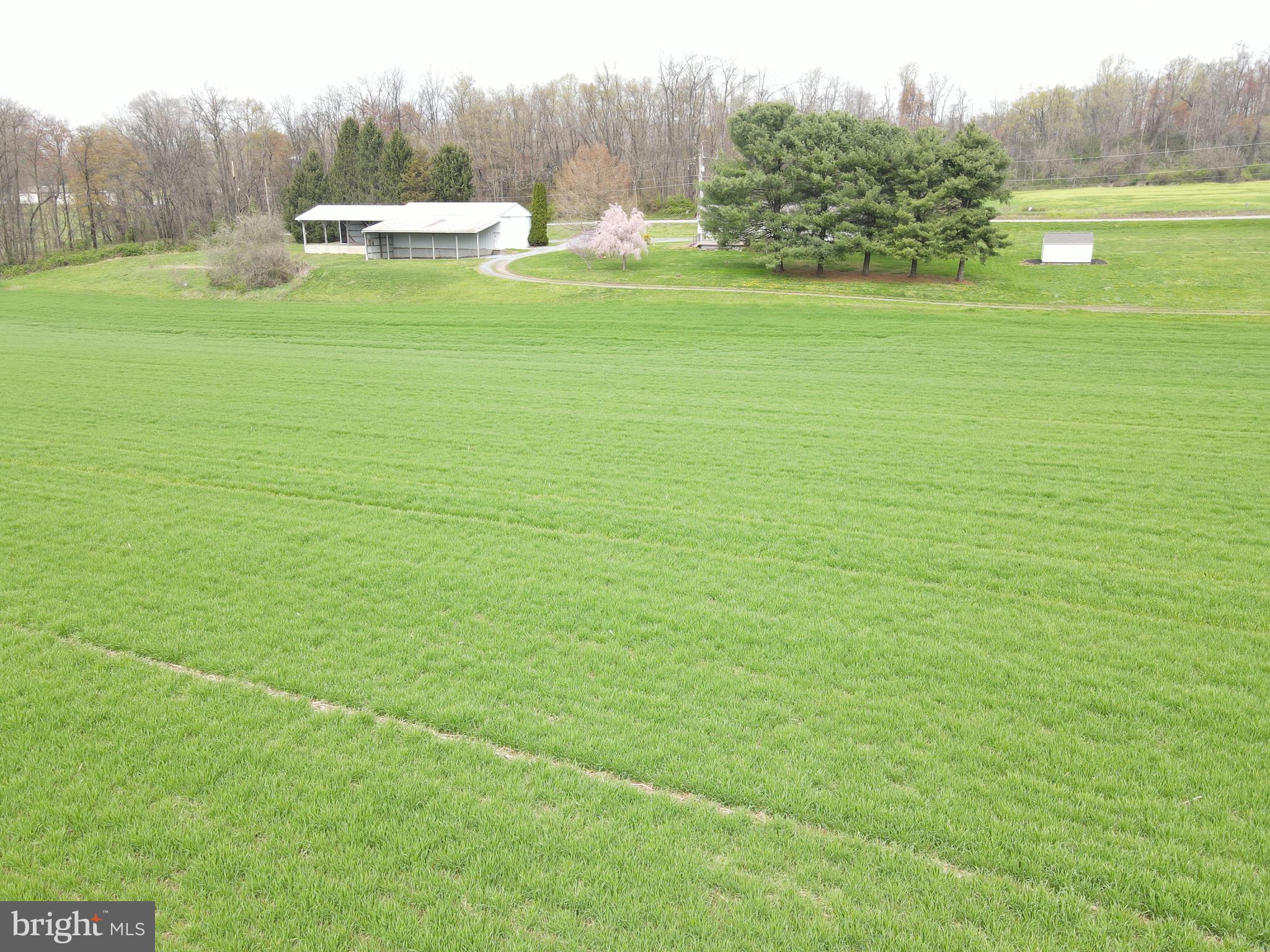 NONE AVAILABLE - Farm