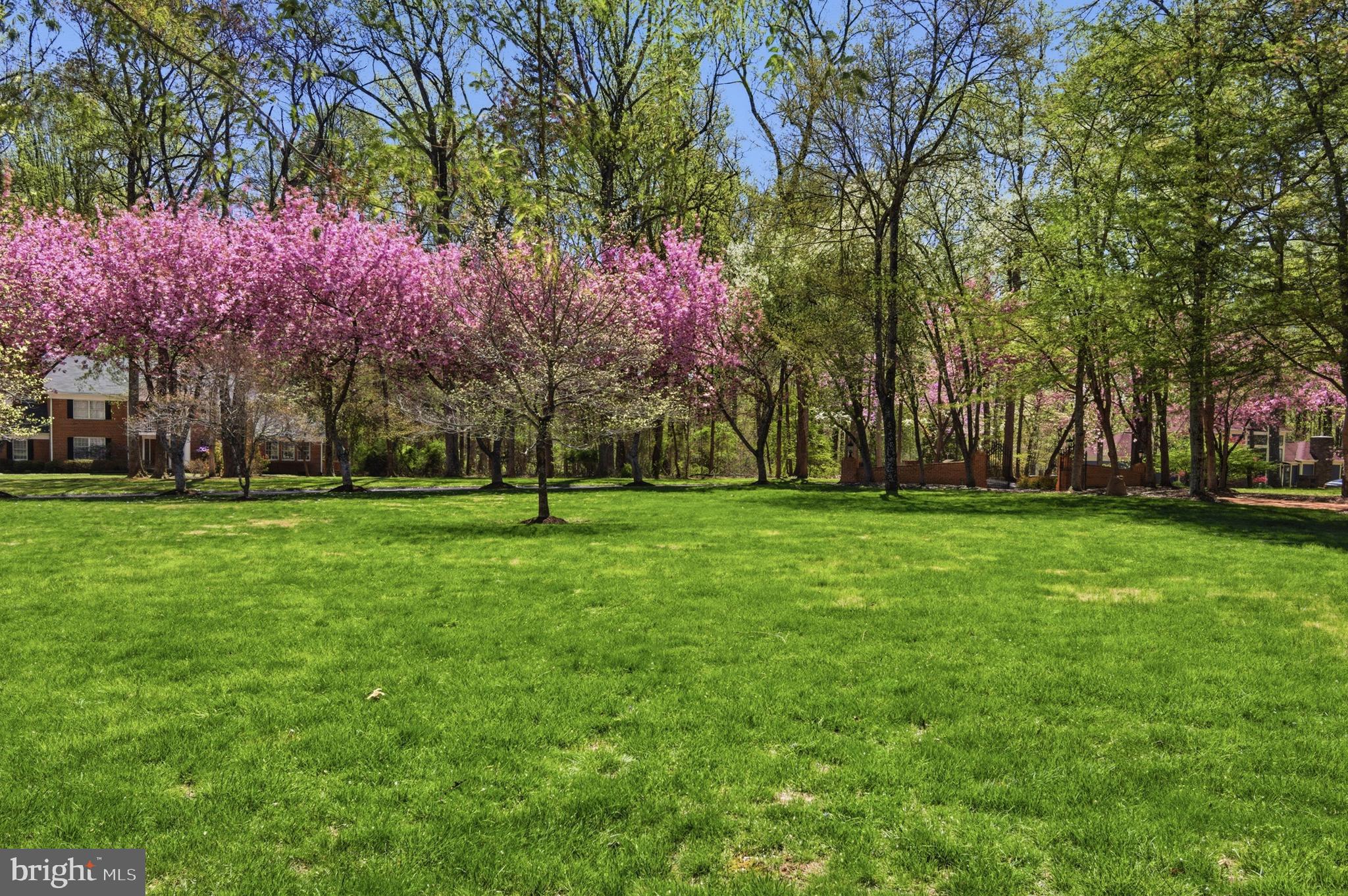 BRIGHTON PINES - Residential