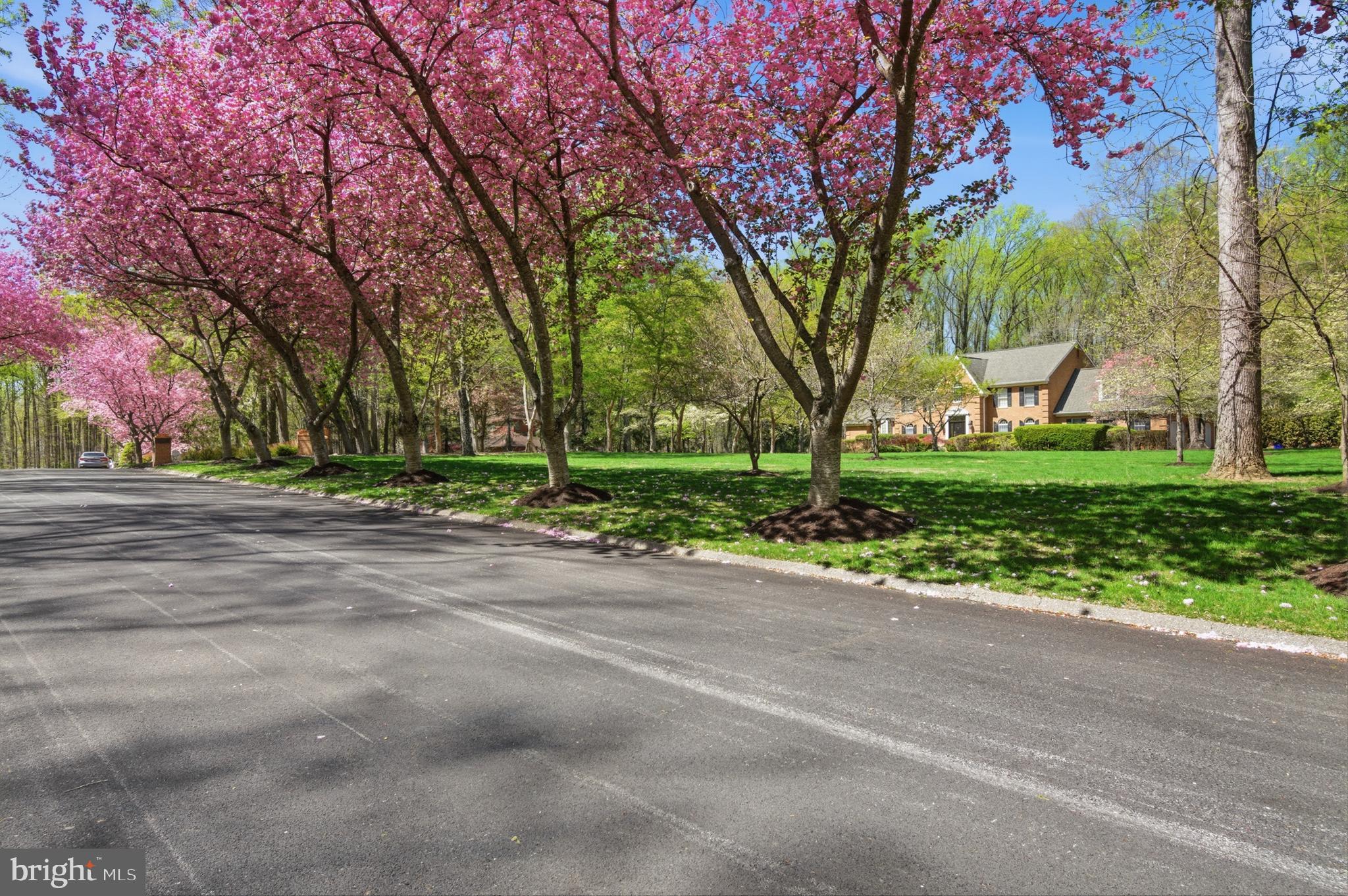 BRIGHTON PINES - Residential
