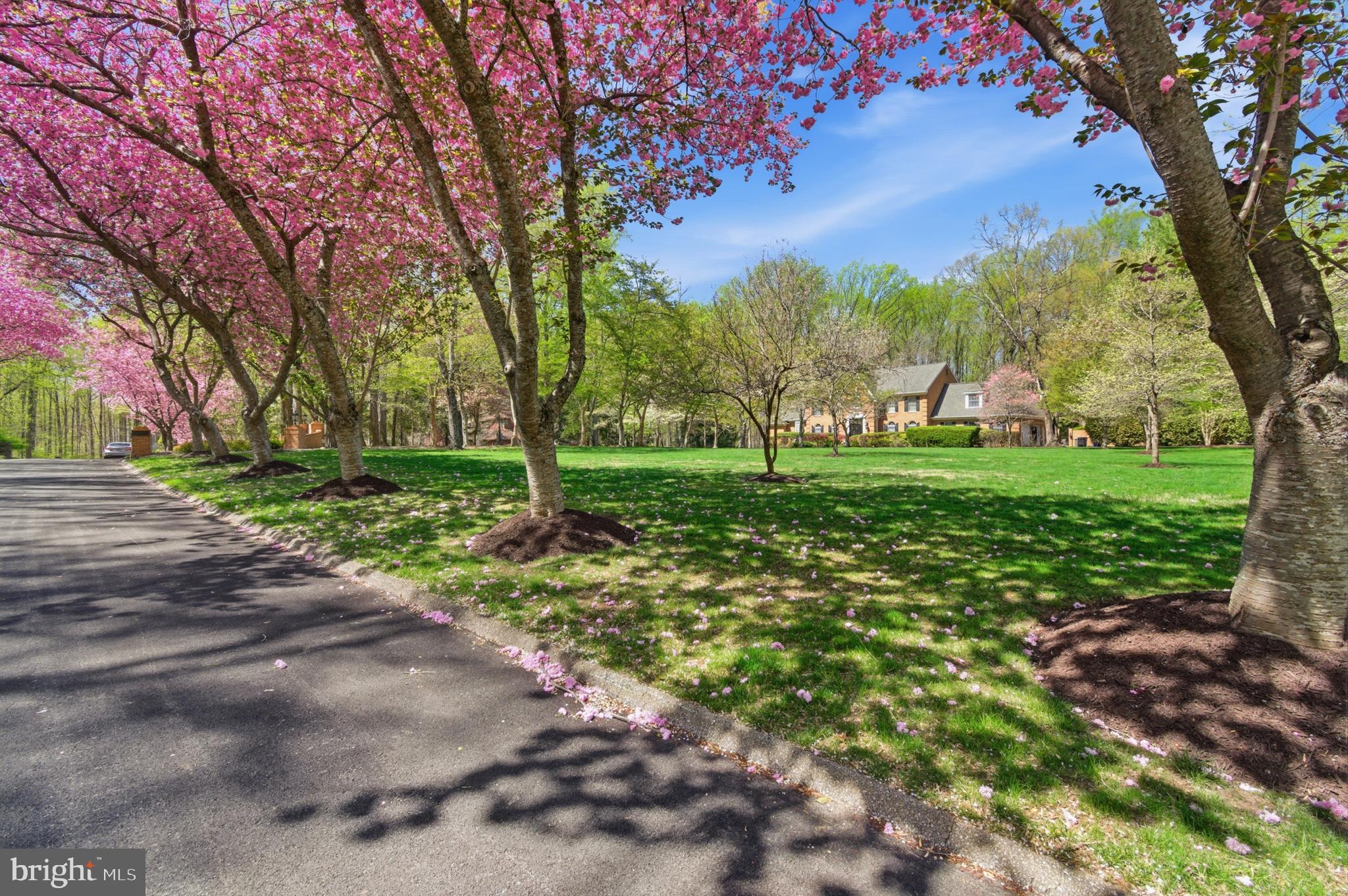 BRIGHTON PINES - Residential