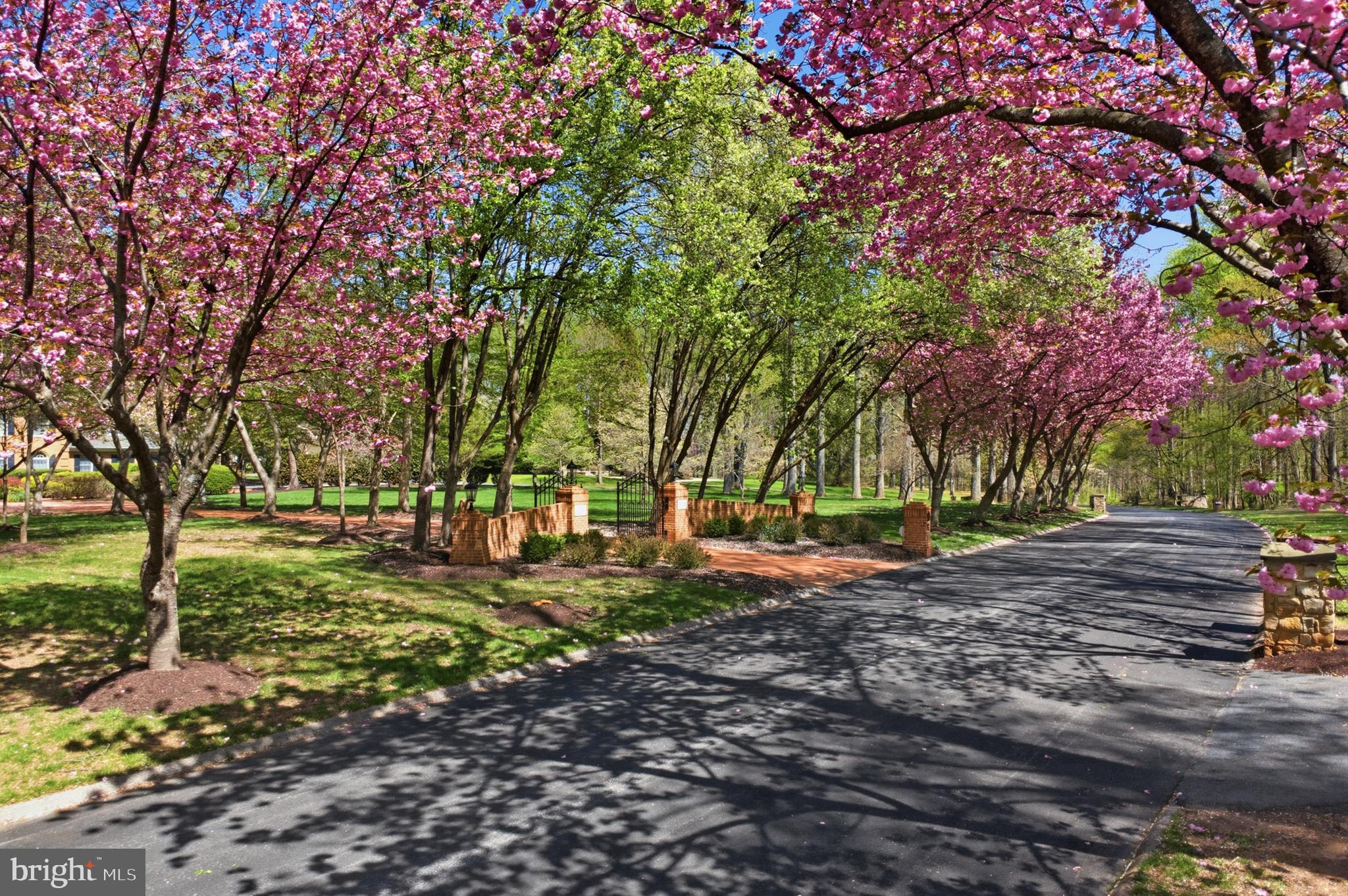 BRIGHTON PINES - Residential
