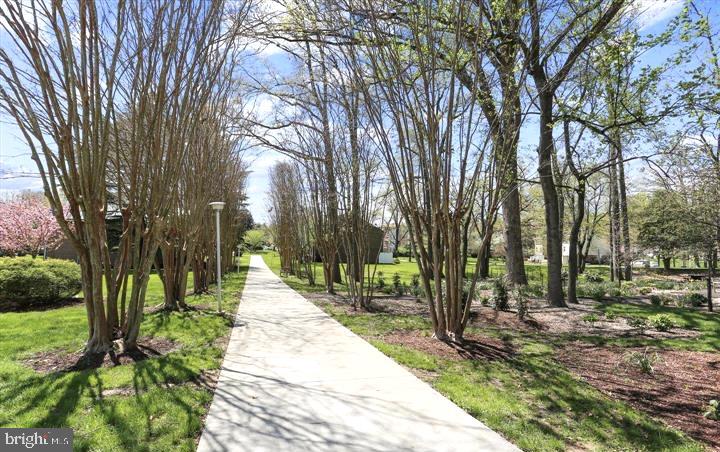 15115 INTERLACHEN DRIVE 3-812