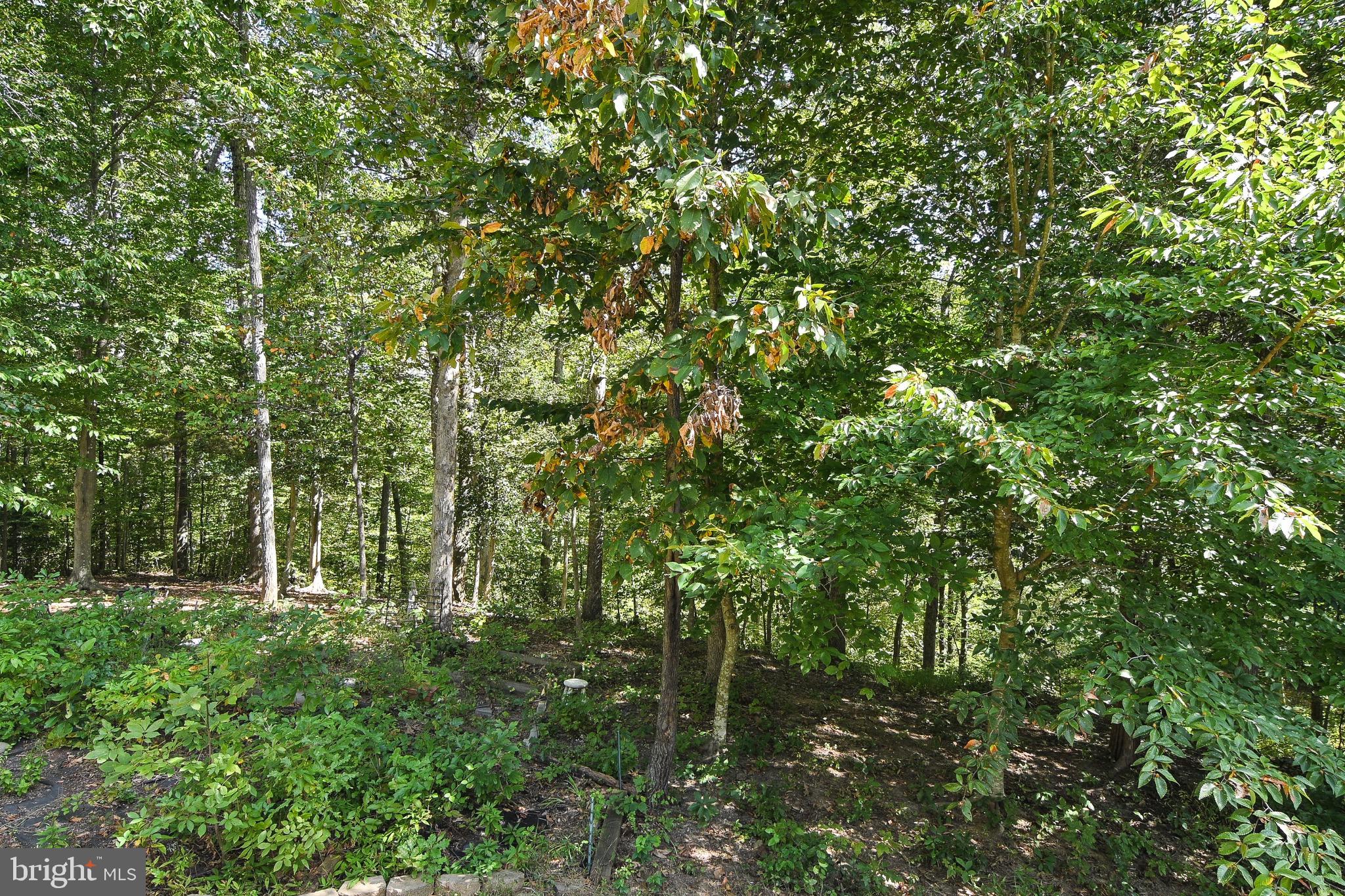 EWELLS MILL ESTATES - Residential