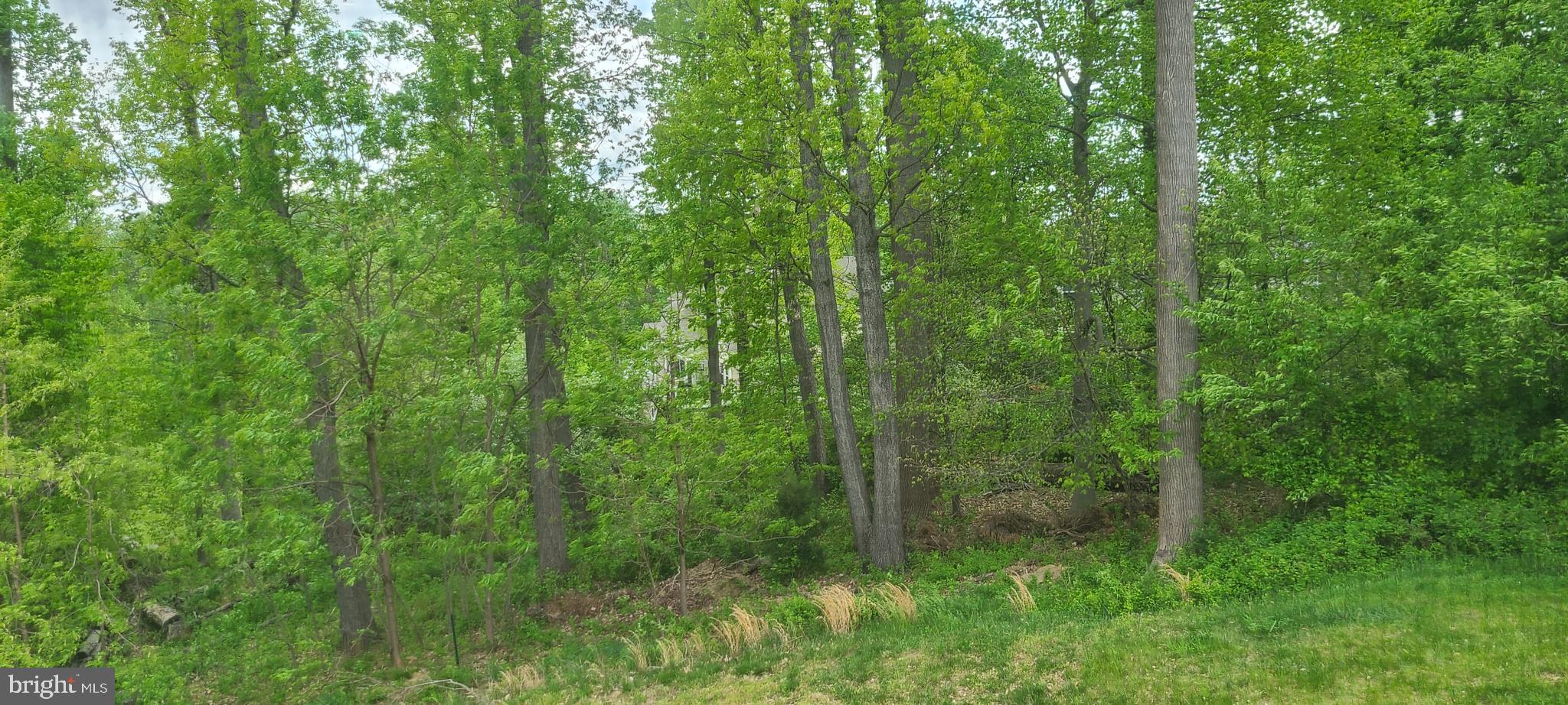 WORTHINGTON FIELDS - Residential Lease