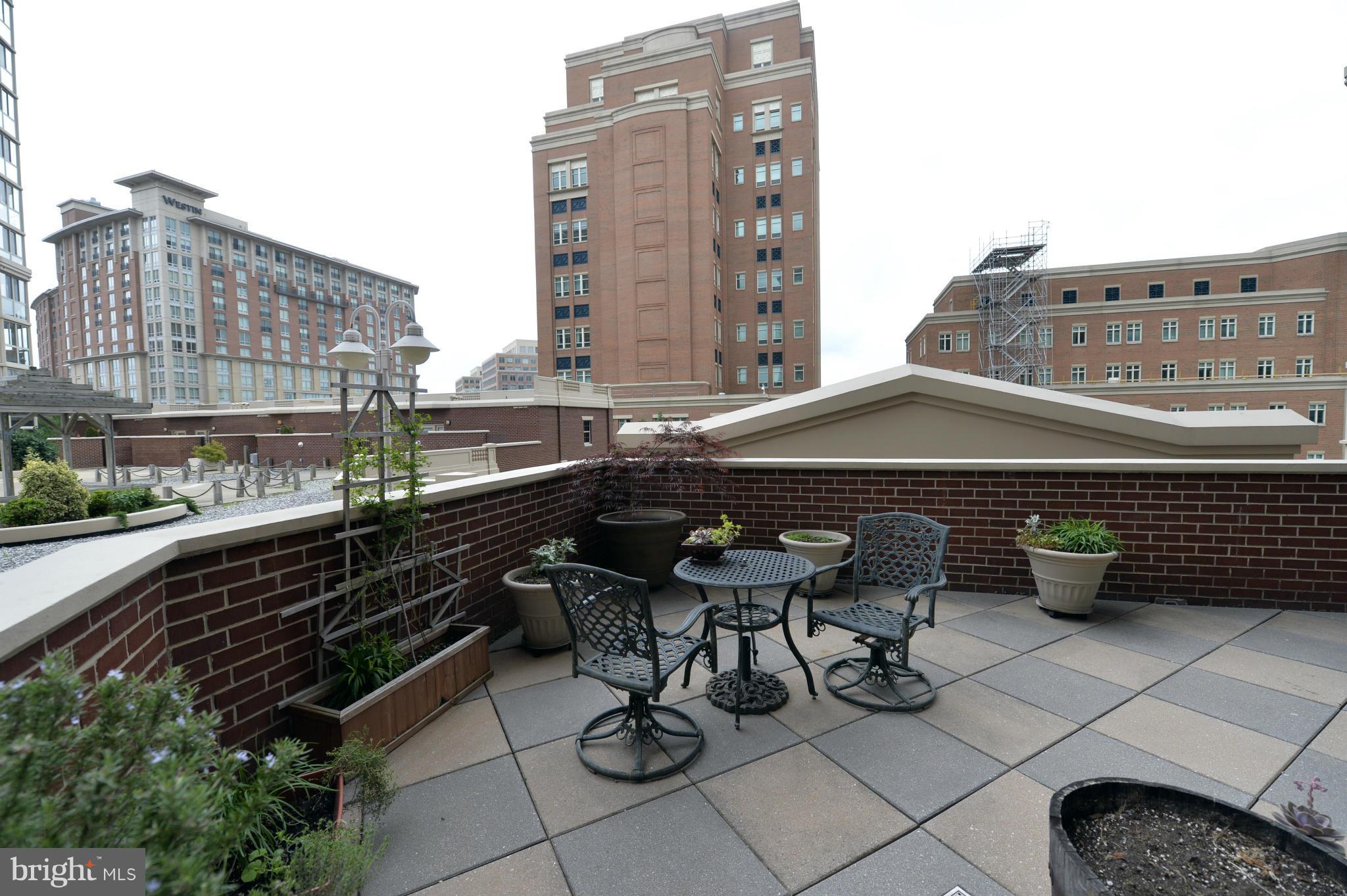 CARLYLE TOWERS - Residential