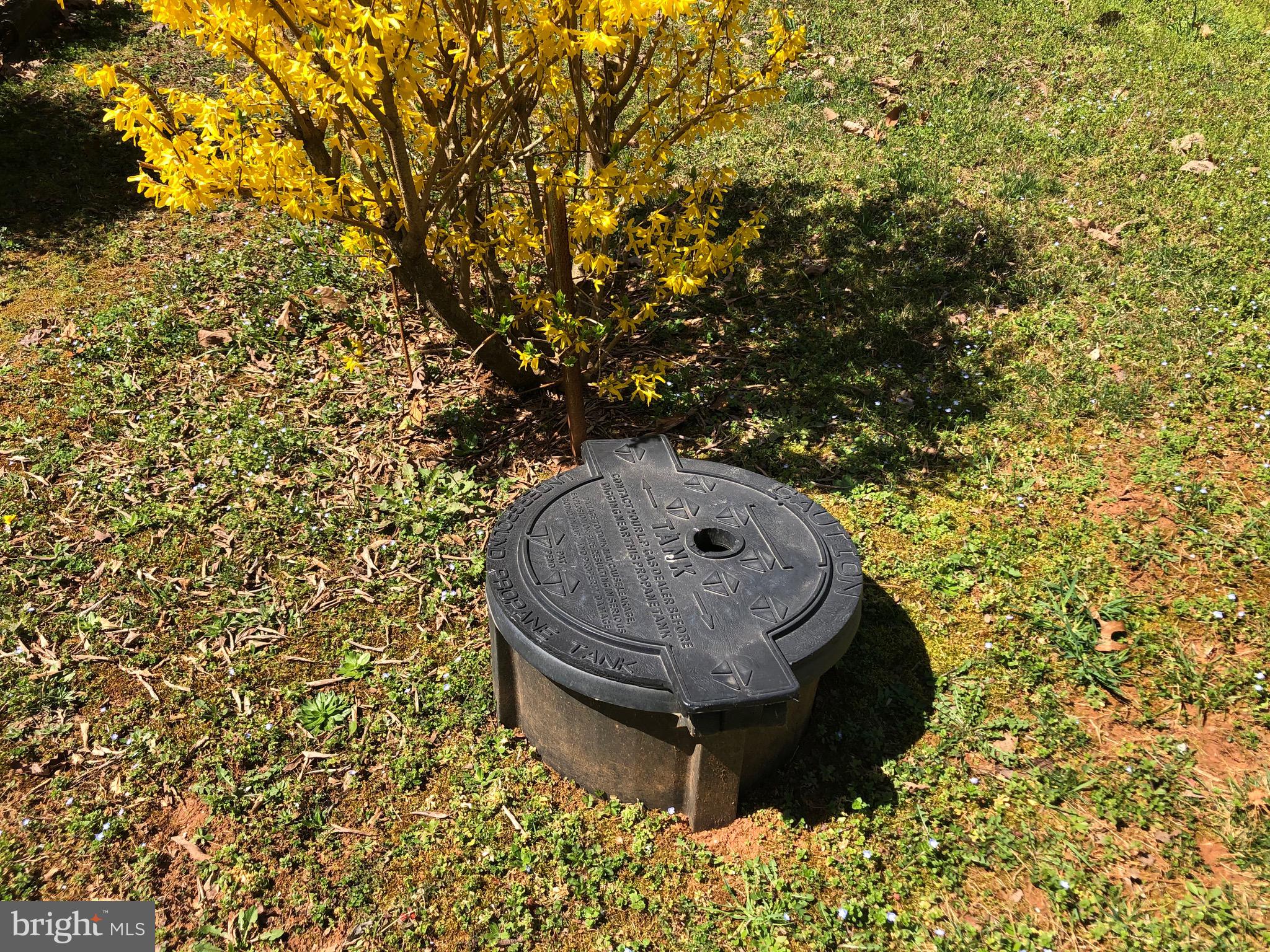 NEIGHBORHOOD - Residential