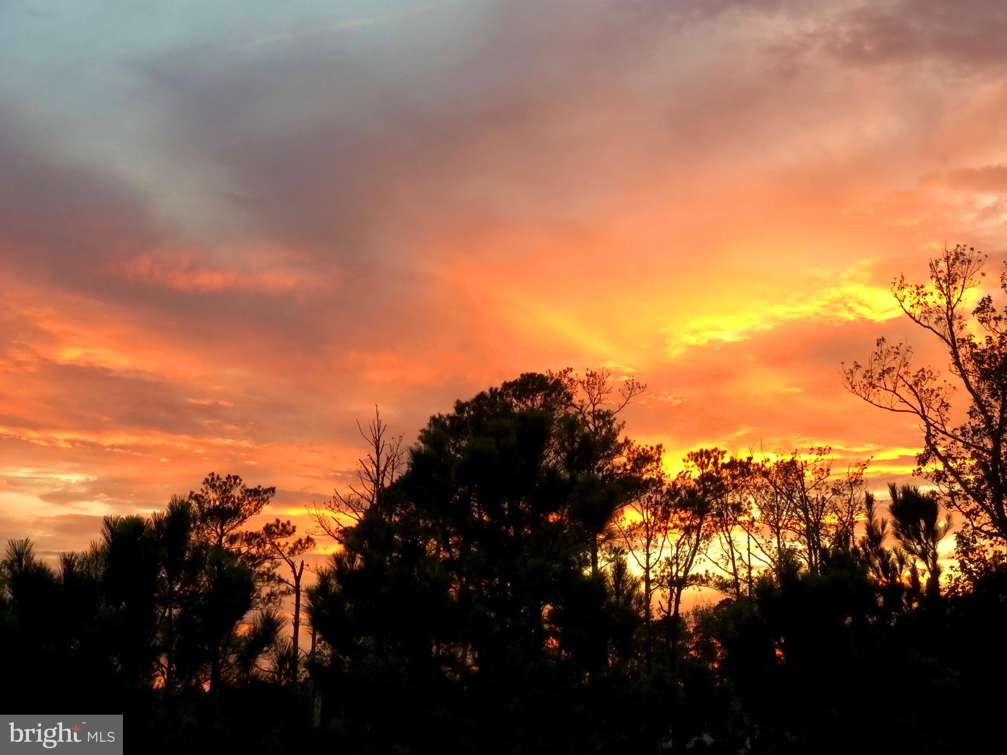 BAY POINT PLANTATION - Residential