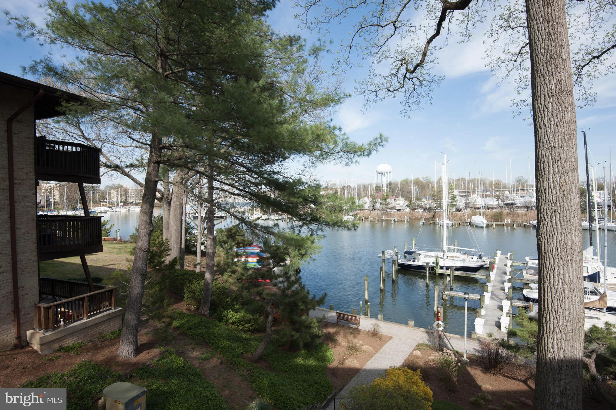 SEVERN HOUSE - Residential Lease