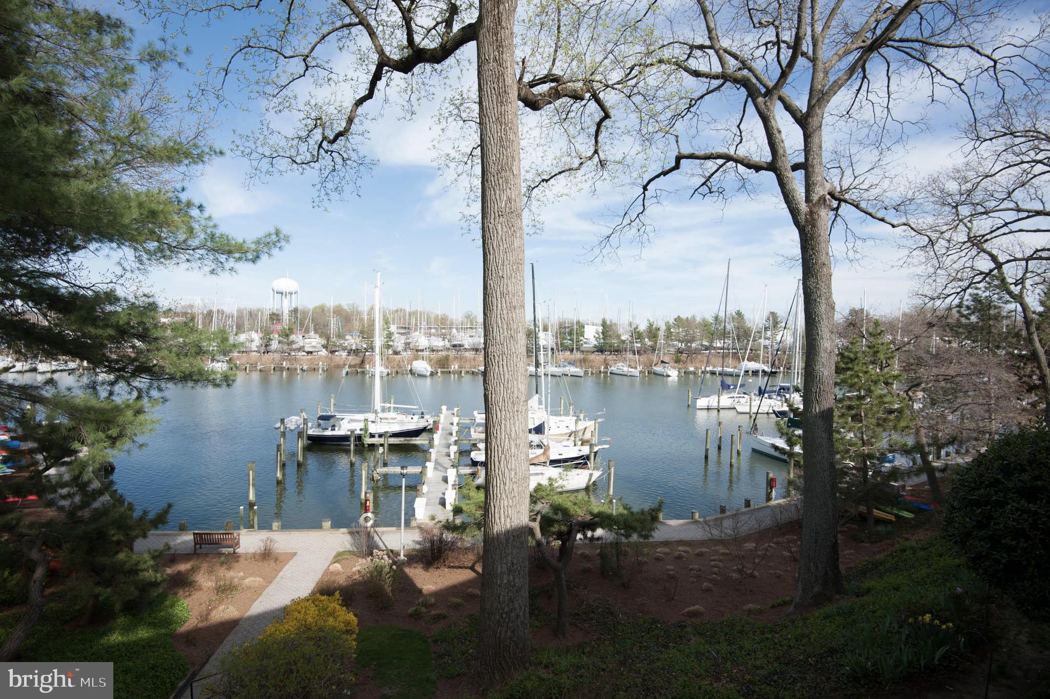 SEVERN HOUSE - Residential Lease