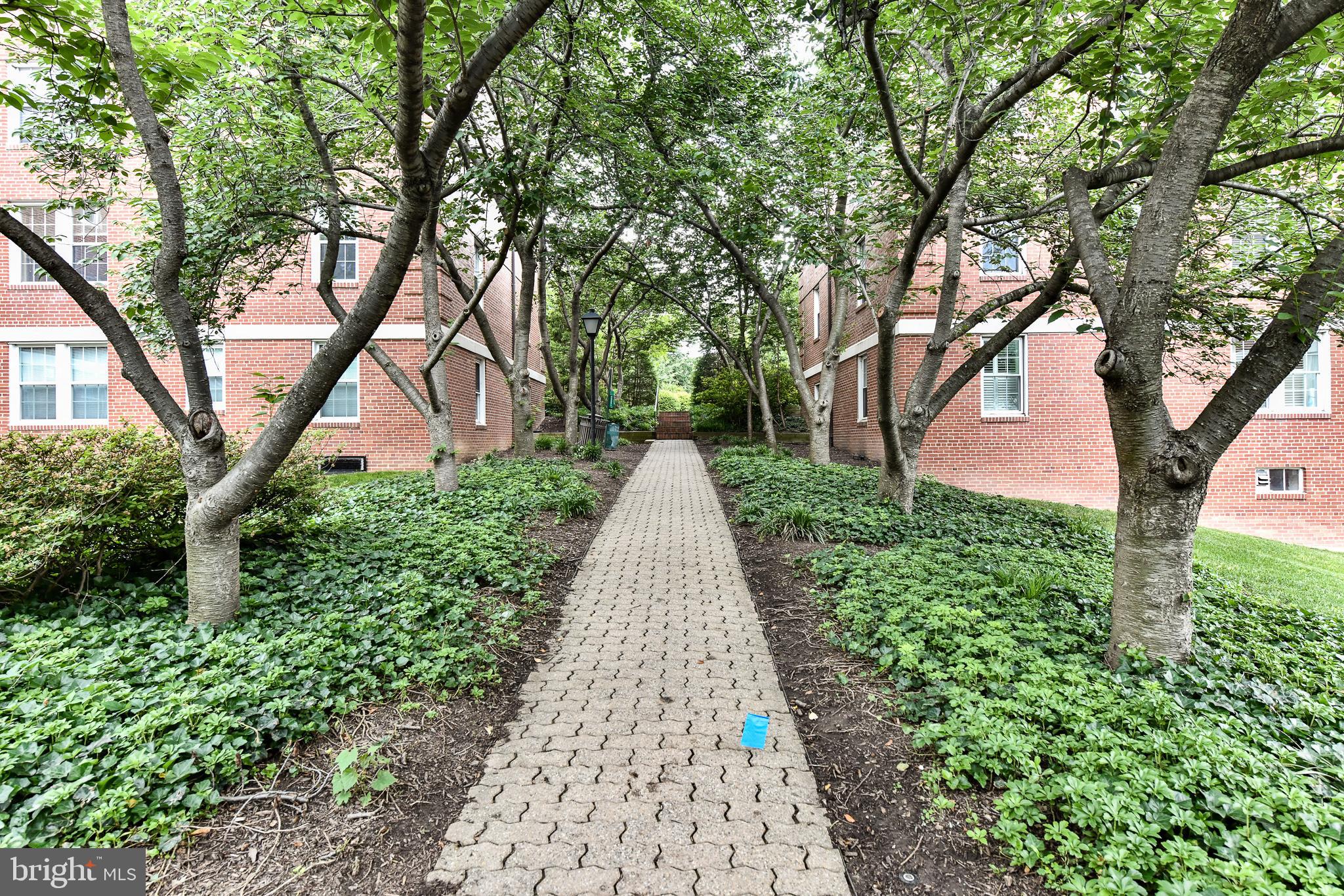 ARBORS OF ARLINGTON - Residential Lease