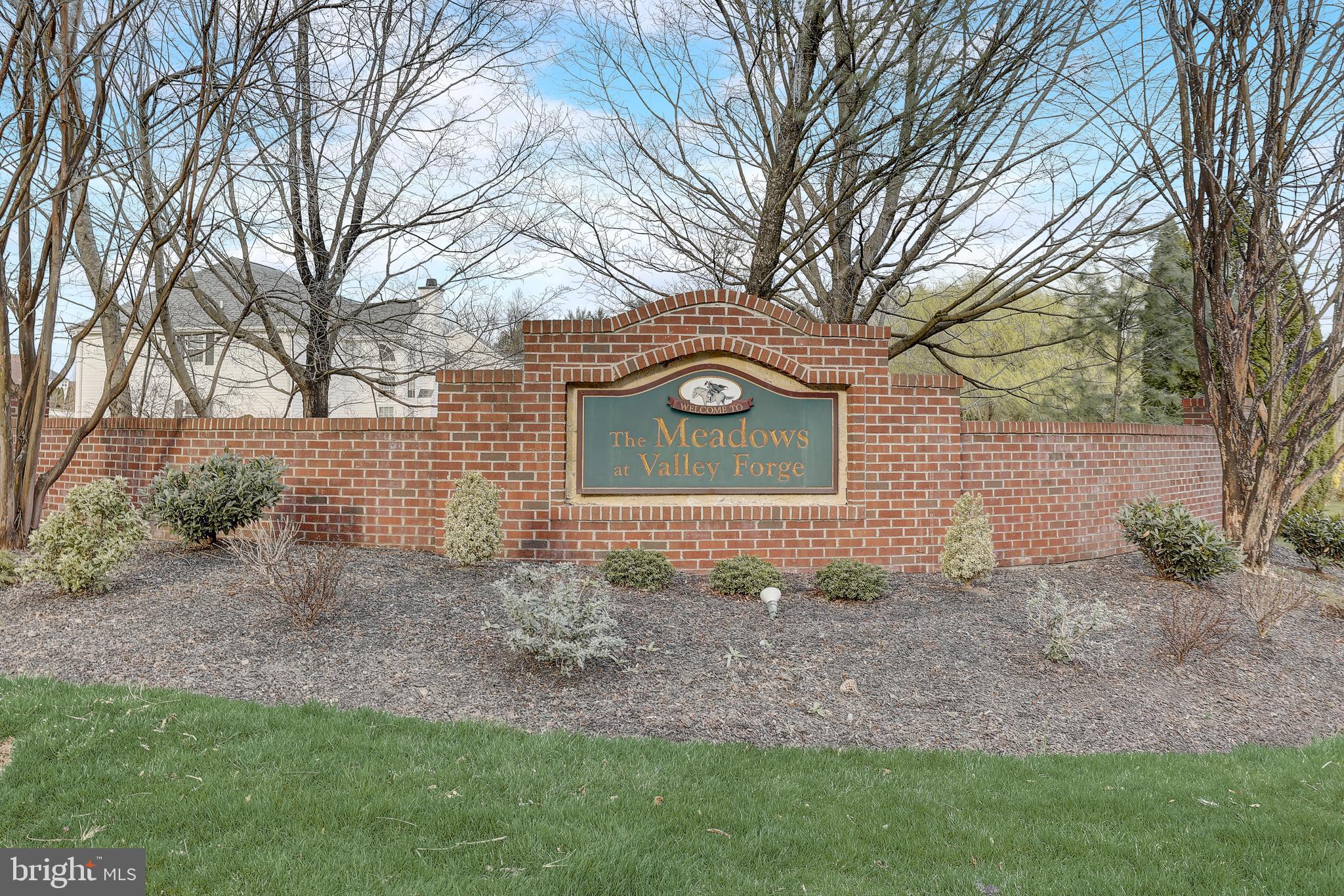 MEADOWS AT VALLEYFRG - Residential